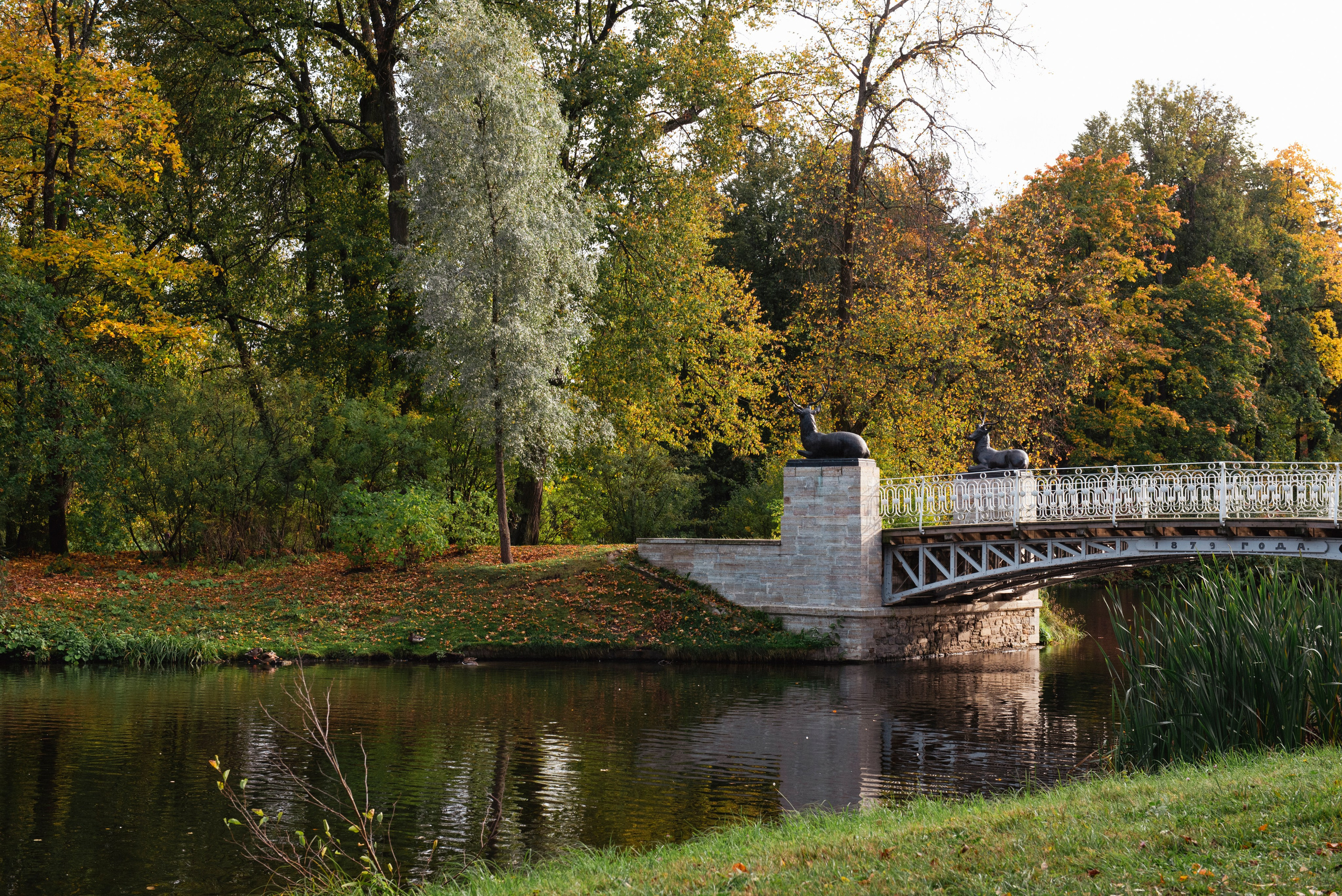 Павловский парк. Портретный и архитектурный фотограф в Москве и Санкт-Петербурге