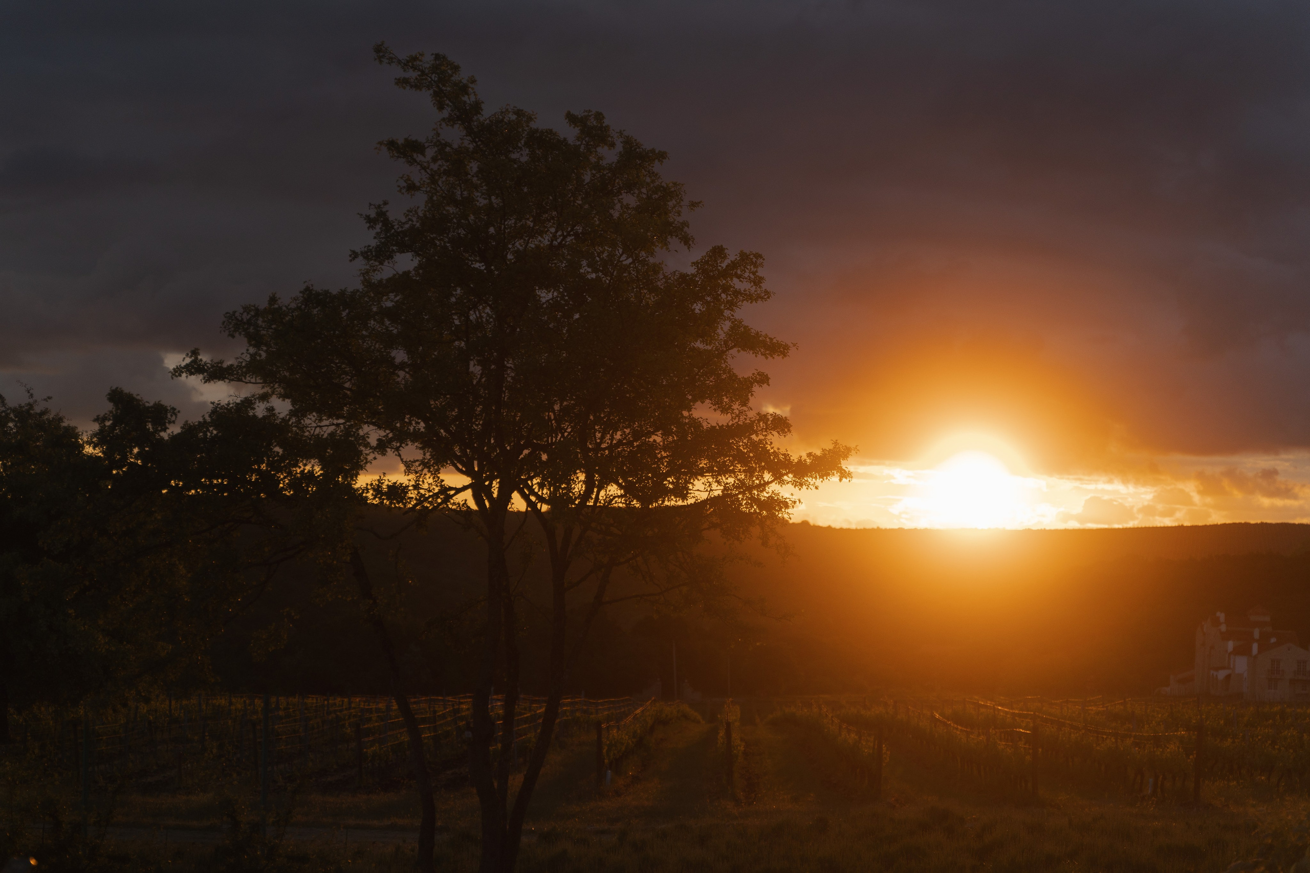 Свадебный фотограф Москва Санкт-Петербург СПБ
