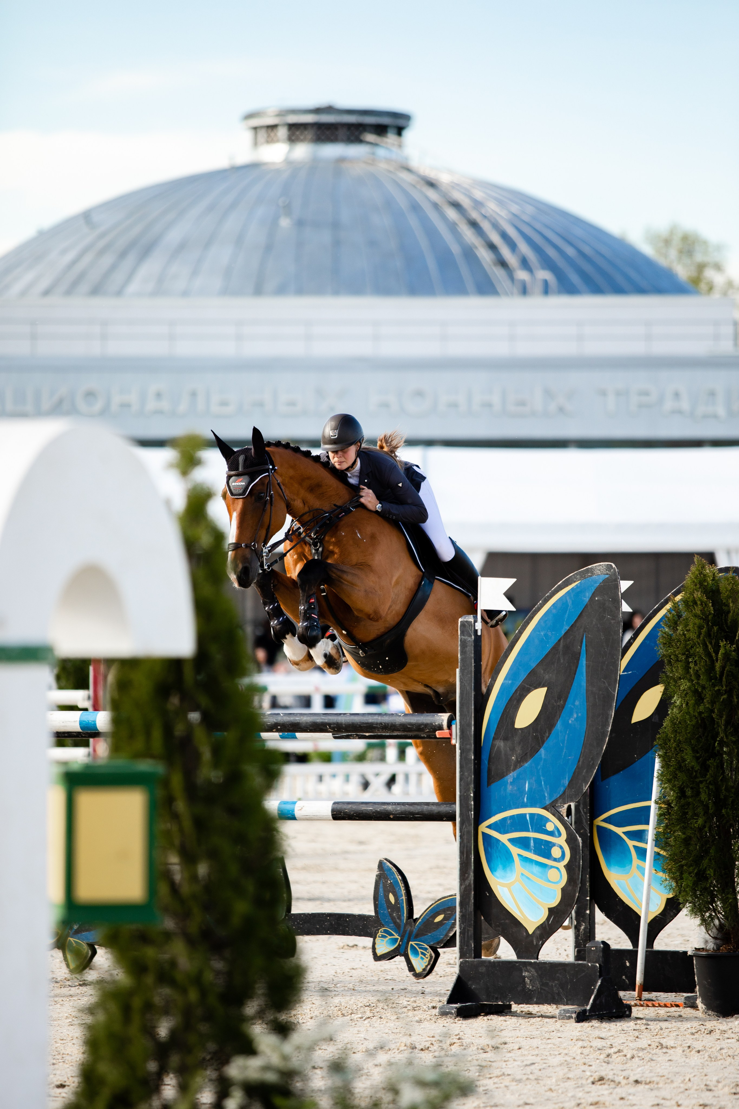 Турниры. Veronika Makeeva horse photo