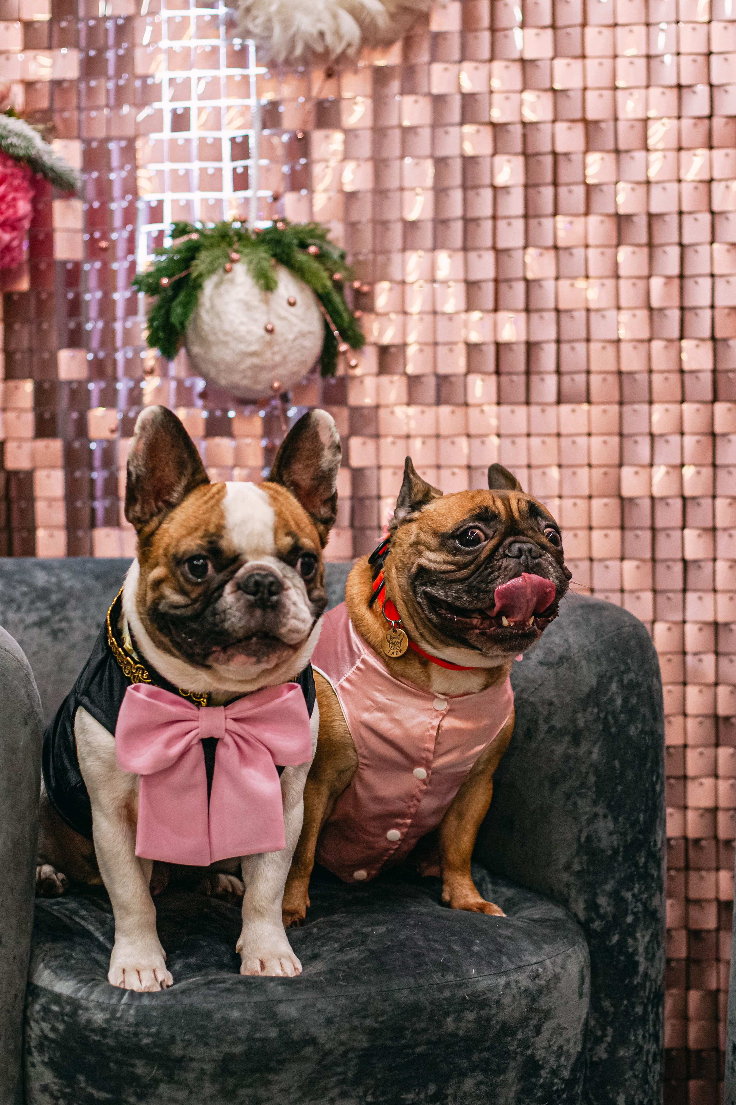 Бульёлка 2024. Фотограф-анималист Татьяна Степанова