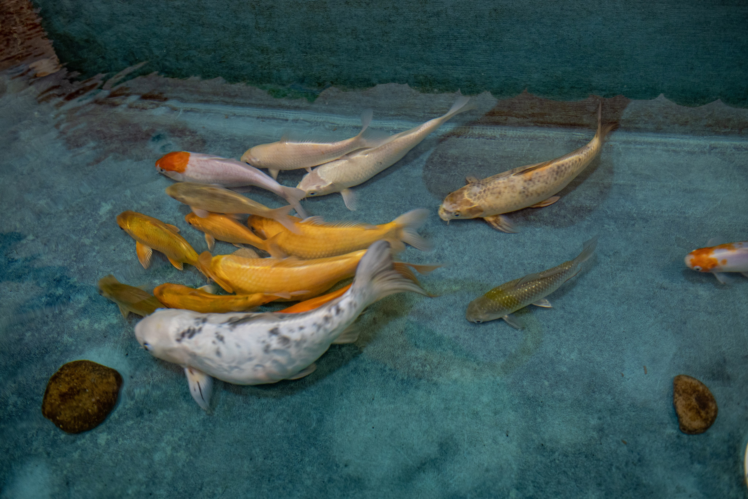 Мультимедийный центр"Дизарди». Медиапродюсер, фотограф в Минеральных Водах —Виктор Холодов