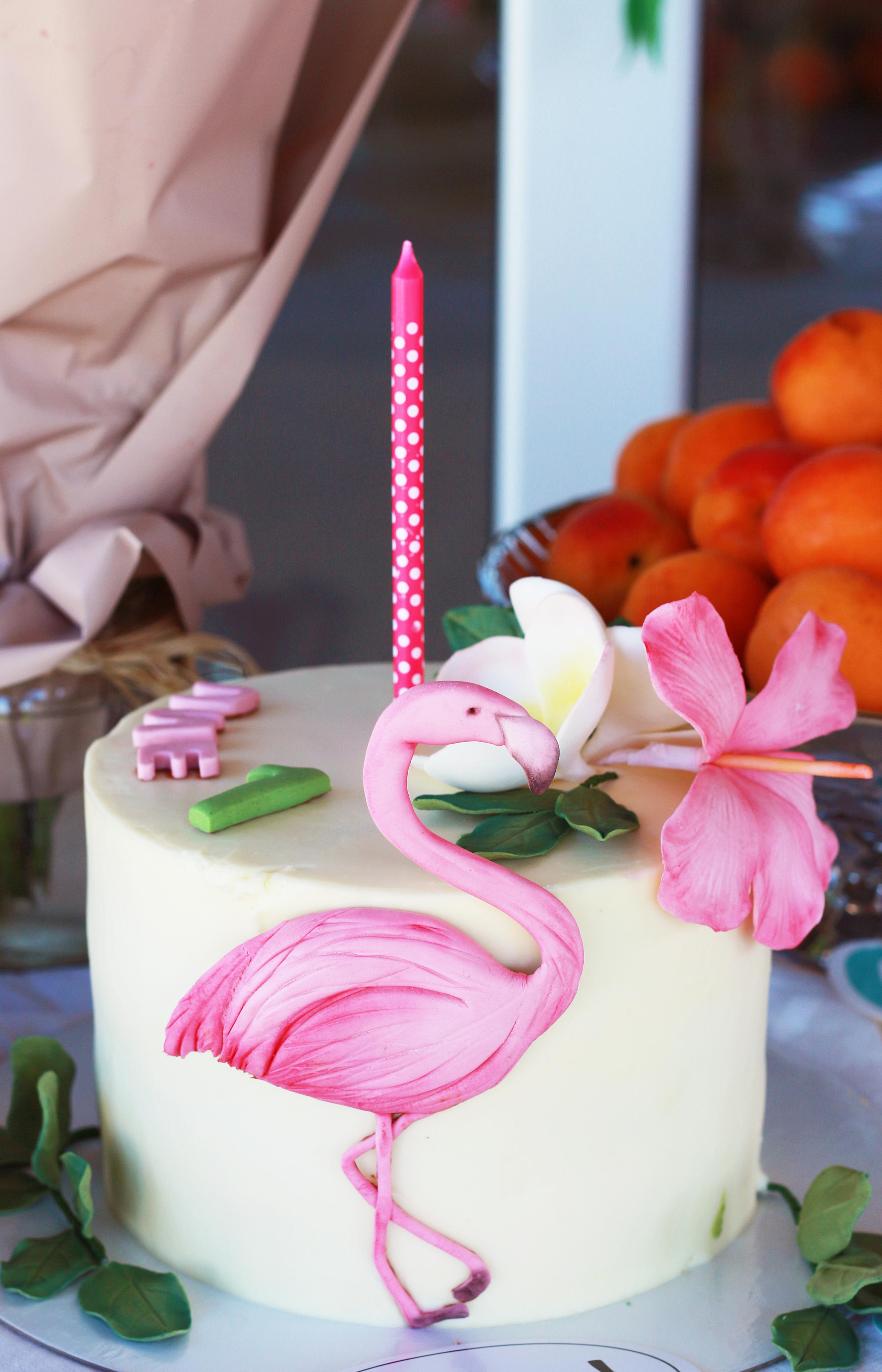 Дни рождения. Семейный и детский фотограф в Бресте