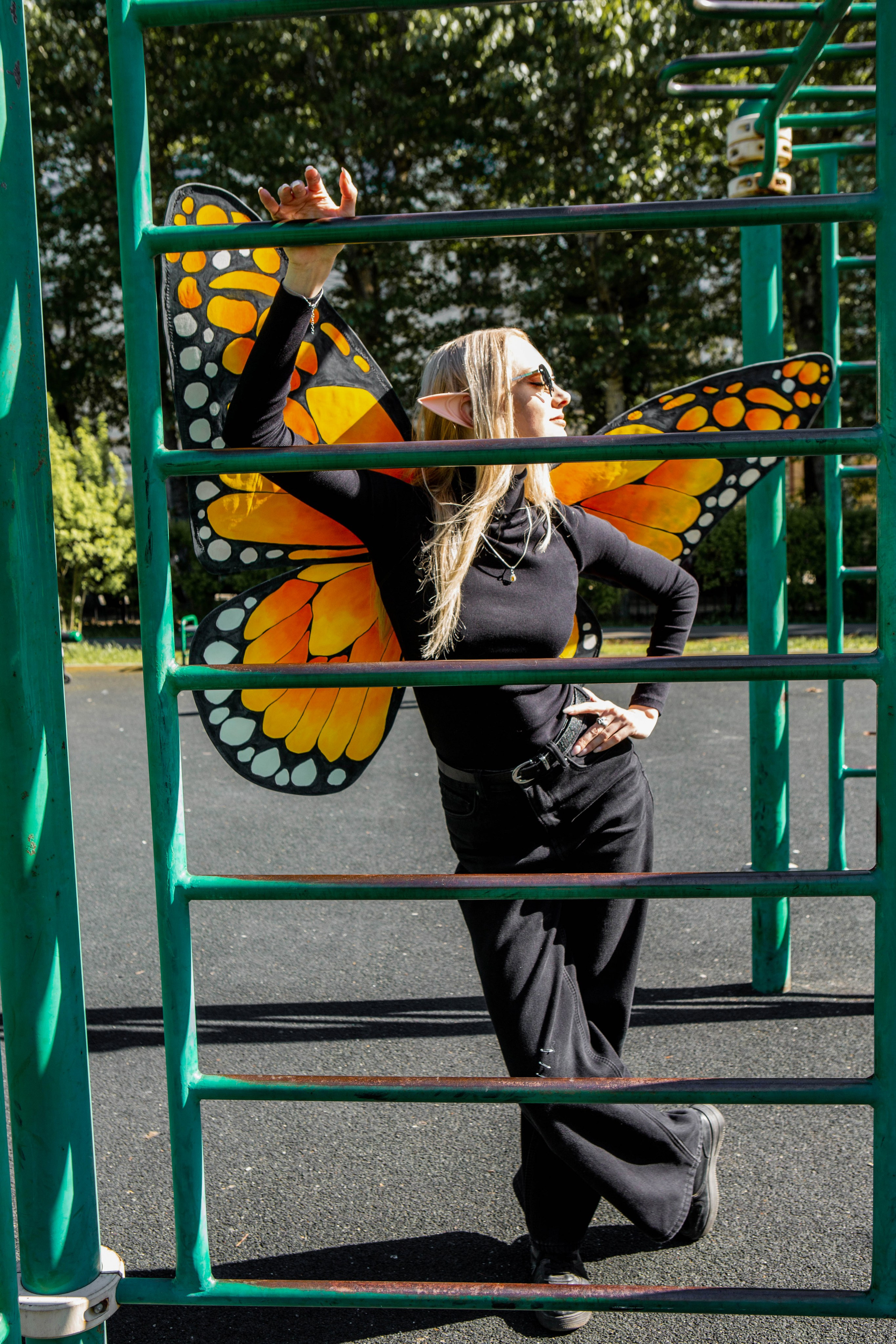 Бабочка. Фотограф Екатерина Голицына