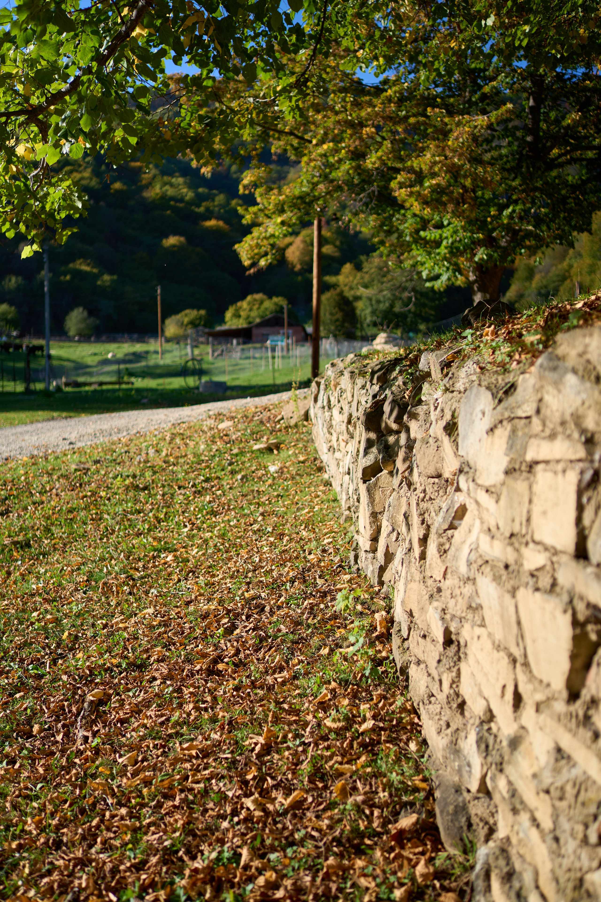 Коммерческая фотосъемка для гостиницы AYDIN EL. Фотограф, видеограф Пятигорск, Ставрополь, Ессентуки, Petlyakovs_photo