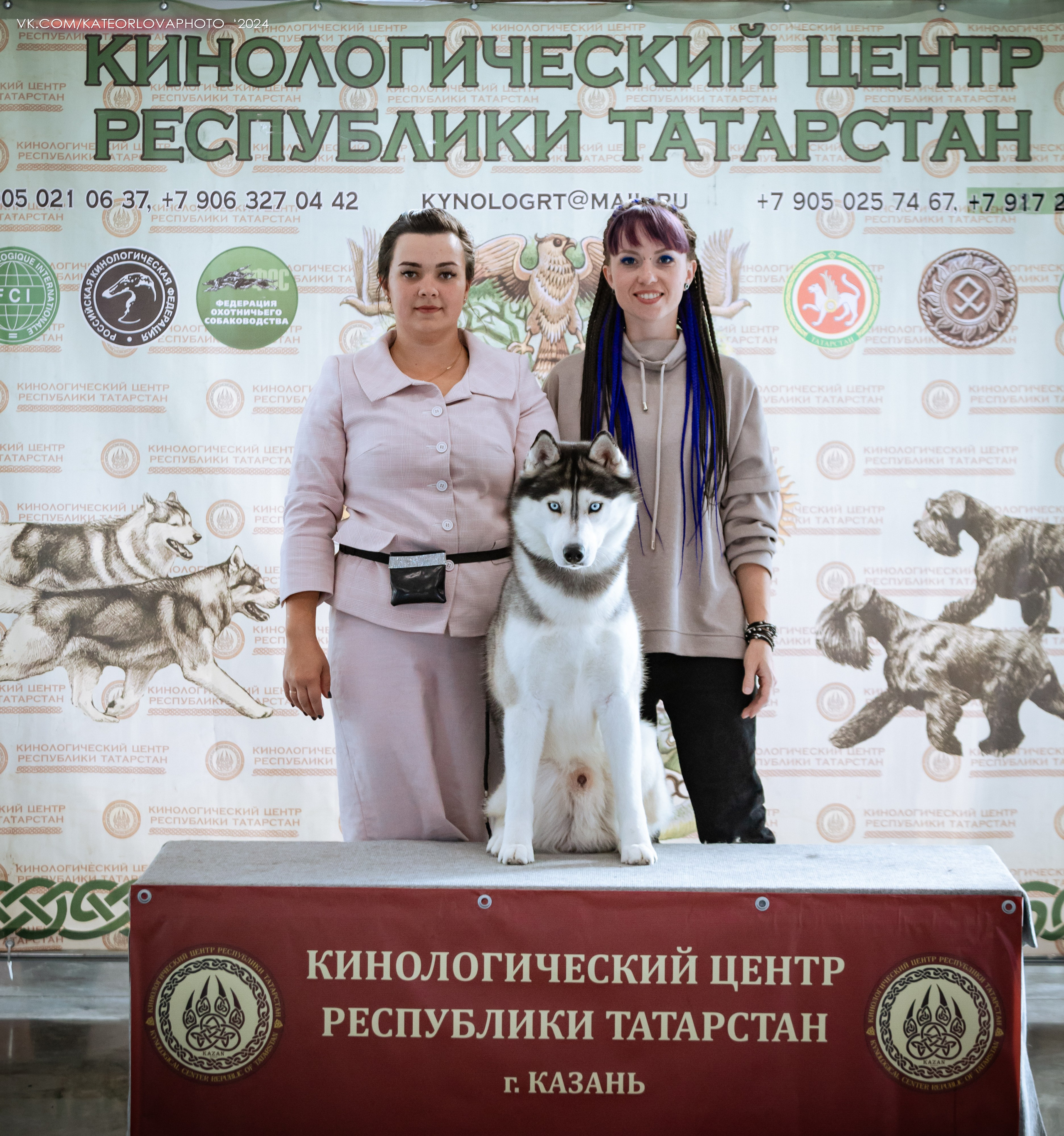 Фотосъемка собак, щенков, на выставках, фотограф анималист Россия воронеж. Питомник собак Акита, Хаски, Корги