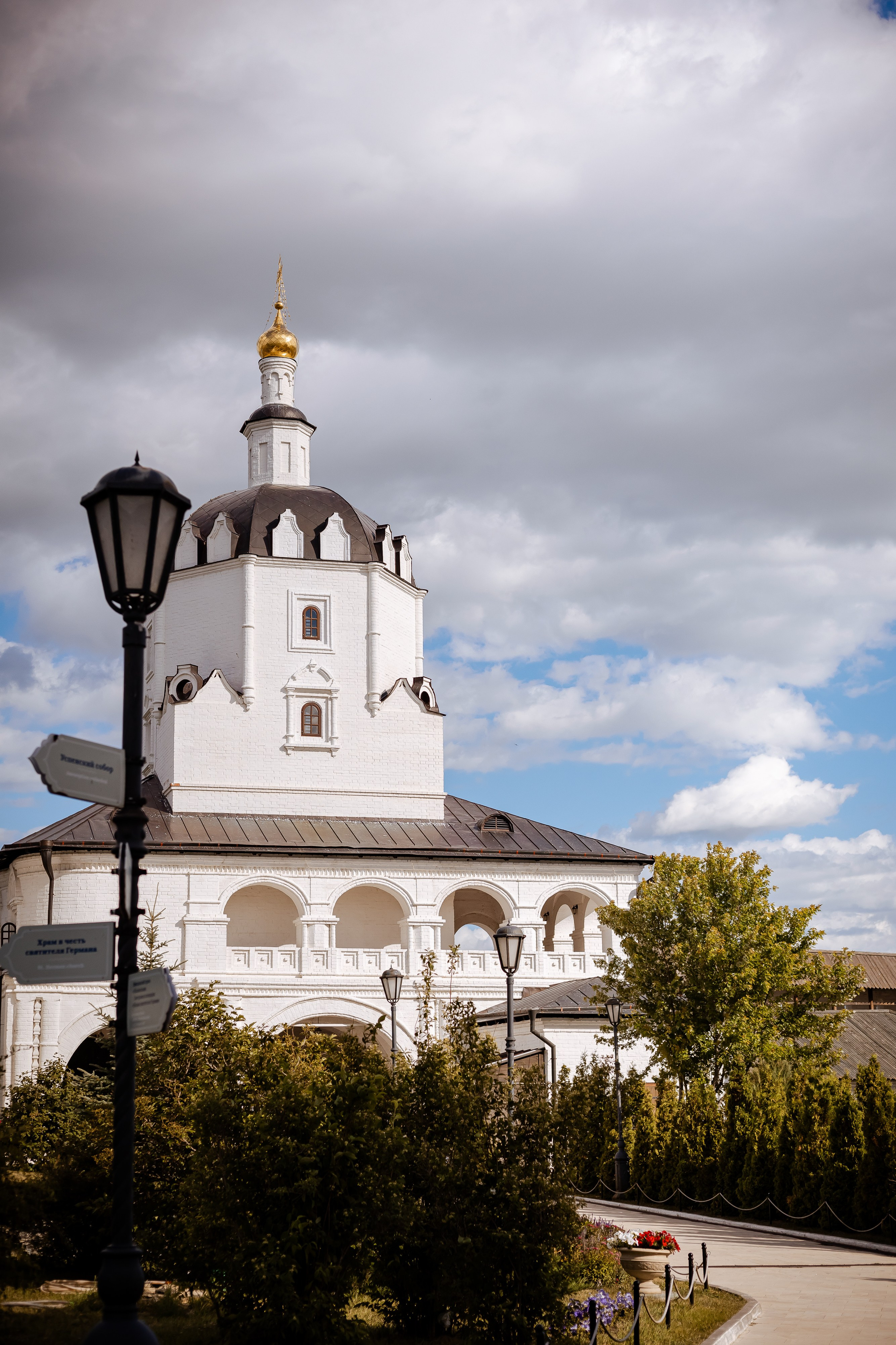 Фотосъемка собак, щенков, на выставках, фотограф анималист Россия воронеж. Питомник собак Акита, Хаски, Корги