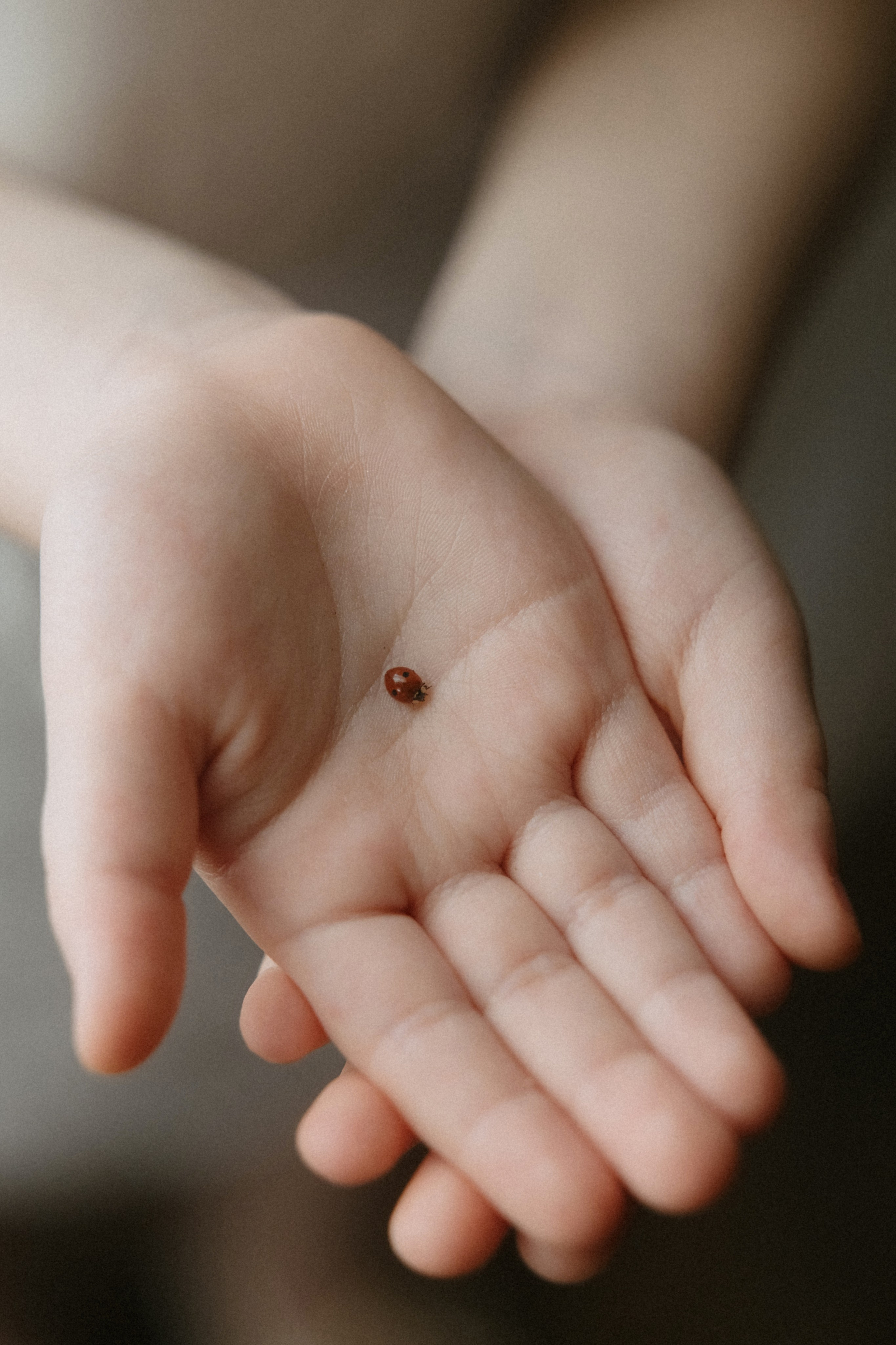 Свадебная фотосъемка в Середниково. Свадебный фотограф Москва