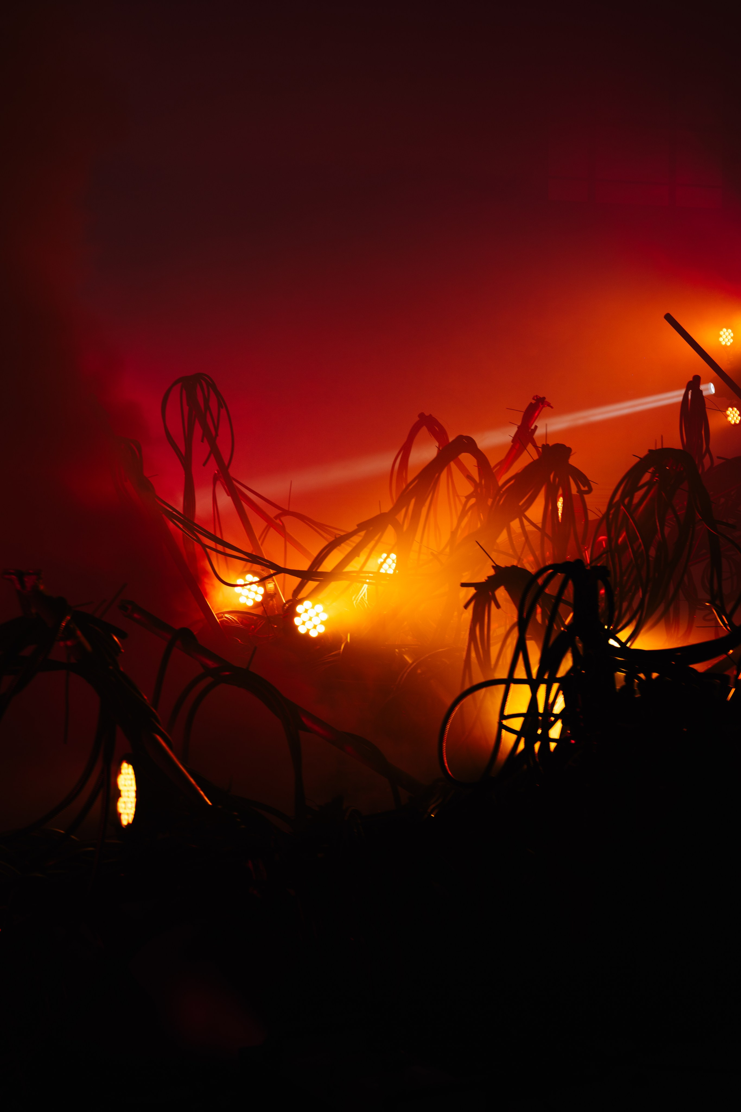 PANTERRA, CHRONOMORPH 001. @tomrus: Рустам Шагиморданов — фотограф