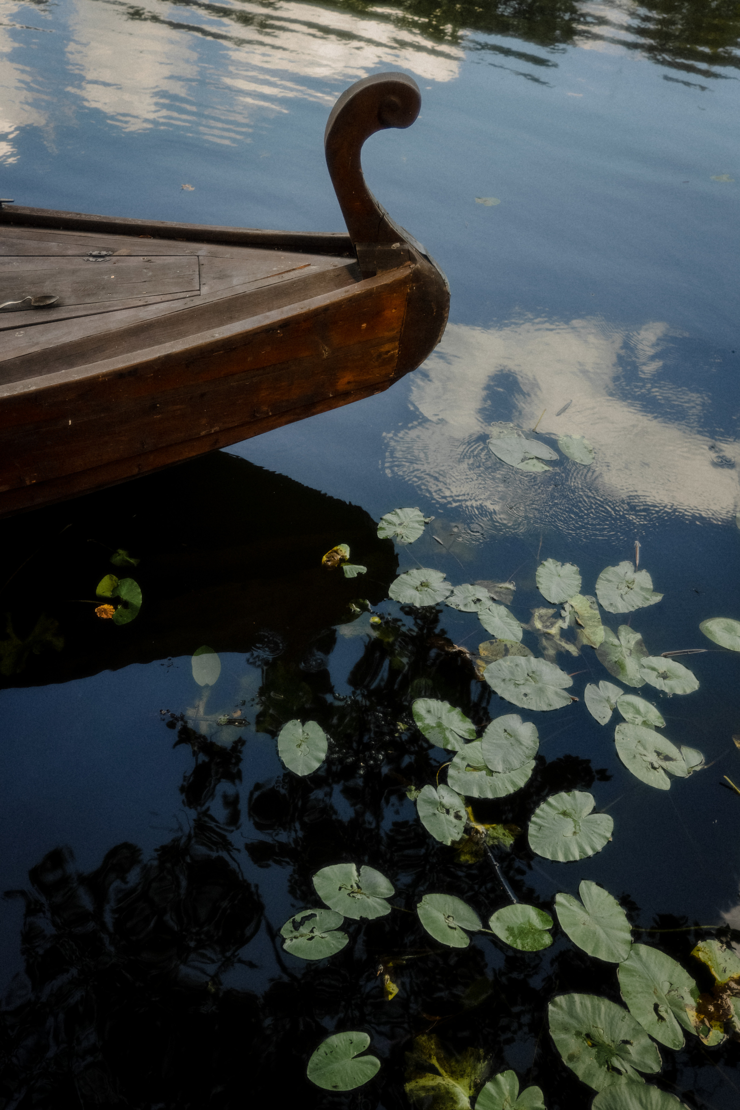 Под летним солнцем. Свадебный и семейный фотограф в Варшаве