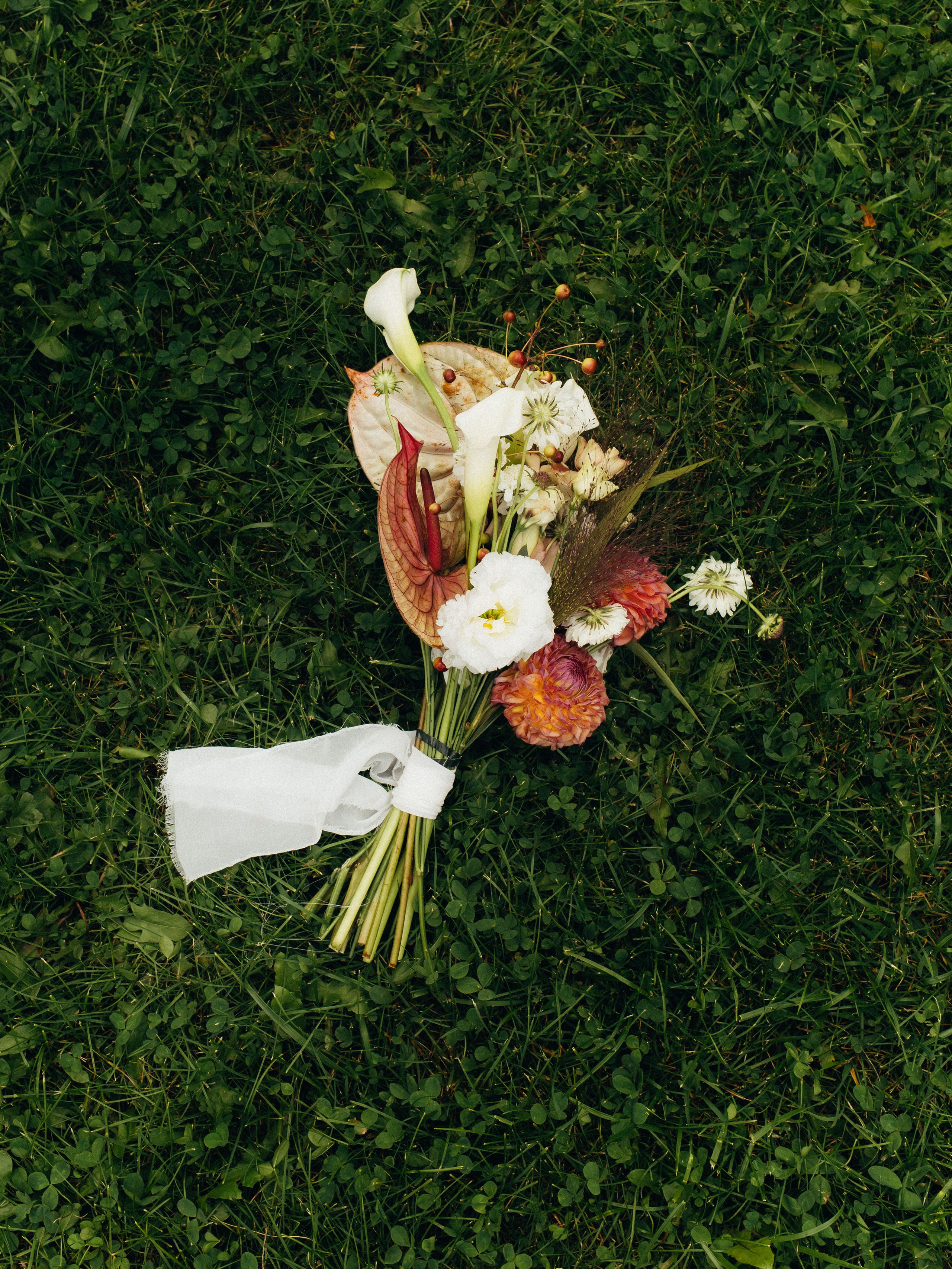 Владимир и Александра. Катерина Аникеева | Фотограф | Екатеринбург