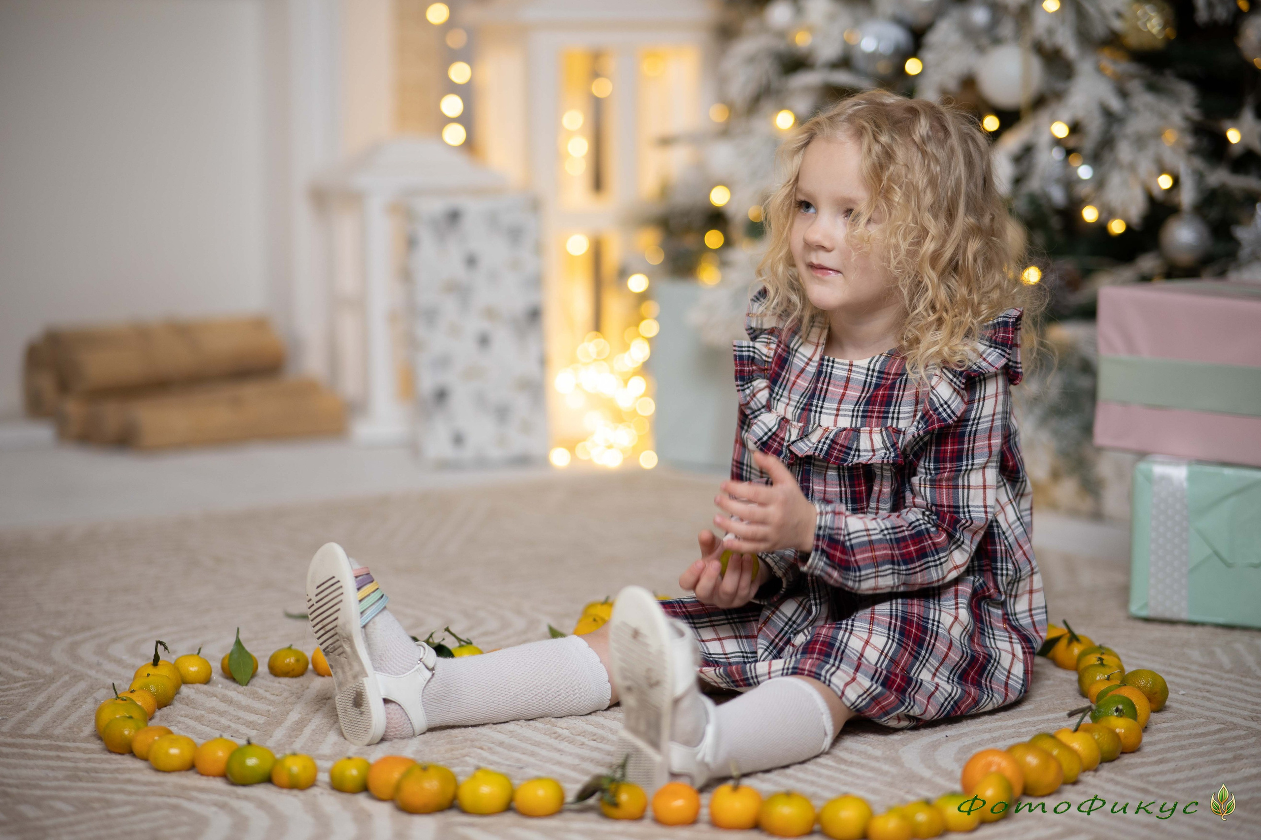 Новогодние. Фотографы Евгений и Екатерина. Фотофикус. Тюмень