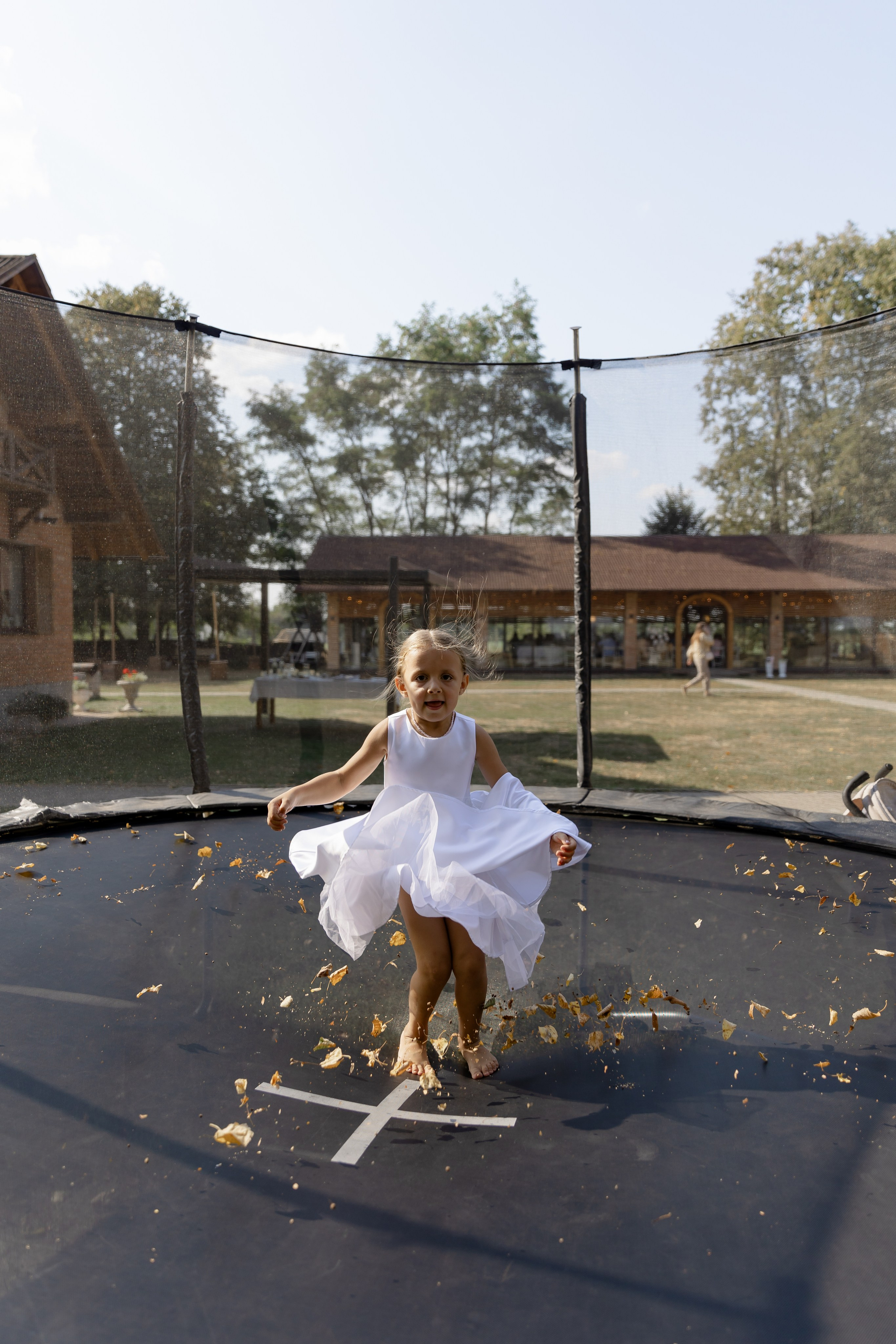 Виноградники. Dima Lemeshevsky