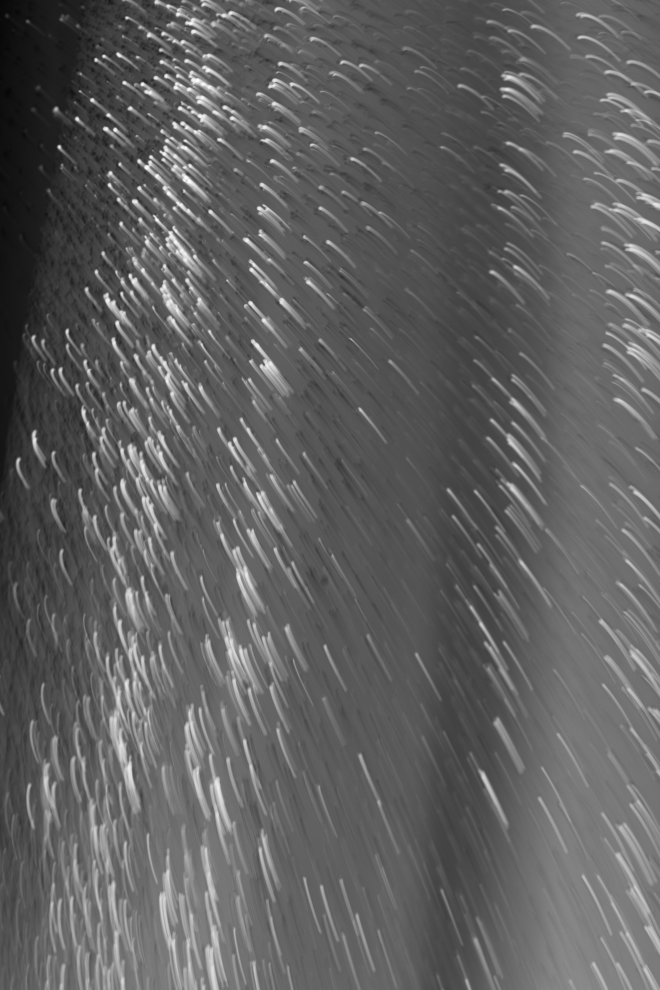 Даша Никита. Свадебный фотограф Виктория Карпова