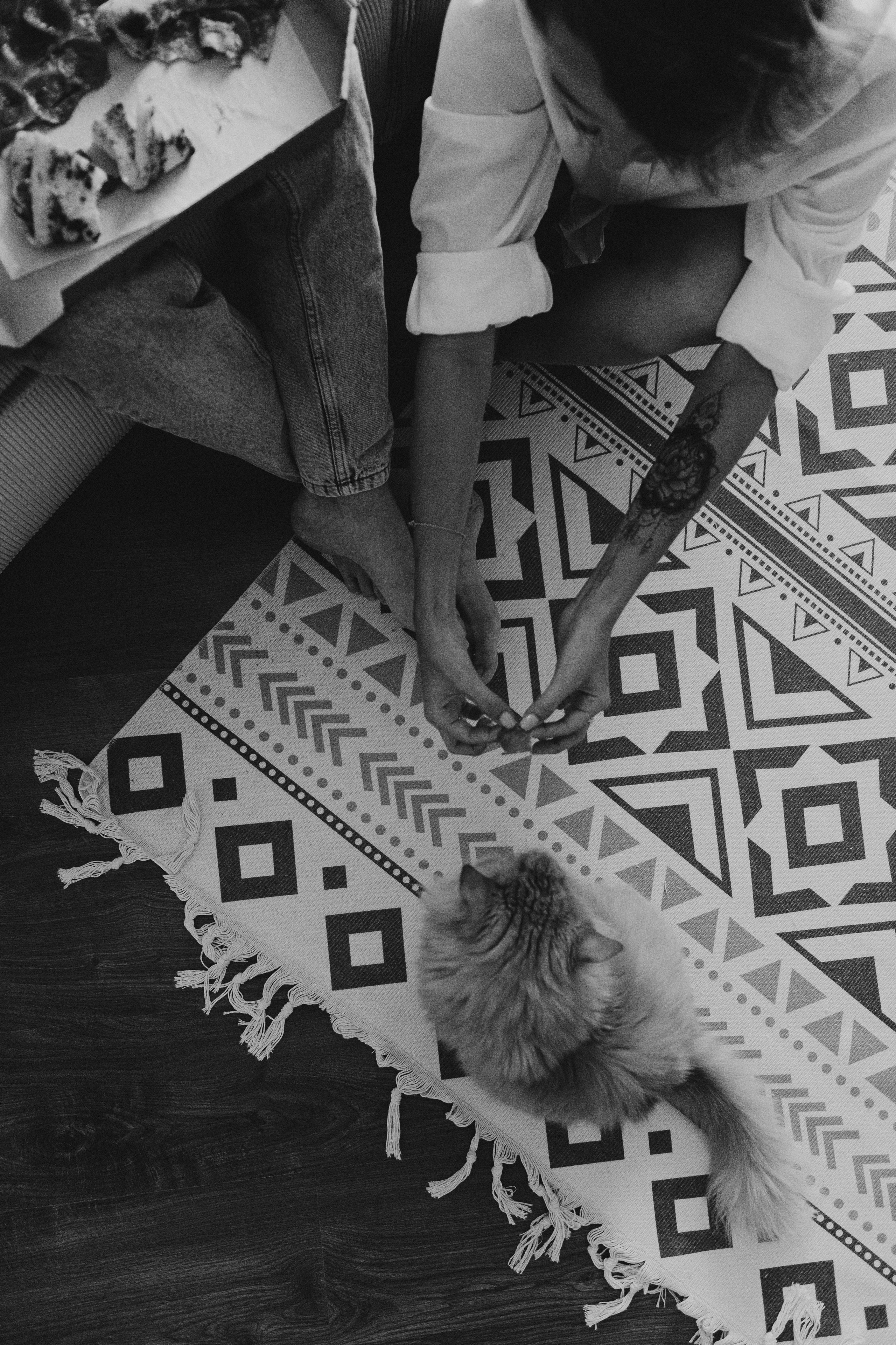 🤎. Семейный фотограф Виолла Платонова Белгород