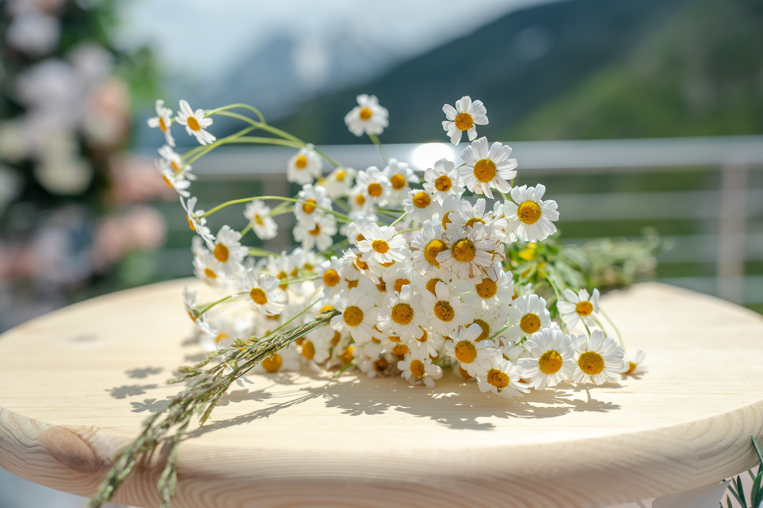 Репортажная съёмка. Фото и видео съёмка для Бизнеса и Event