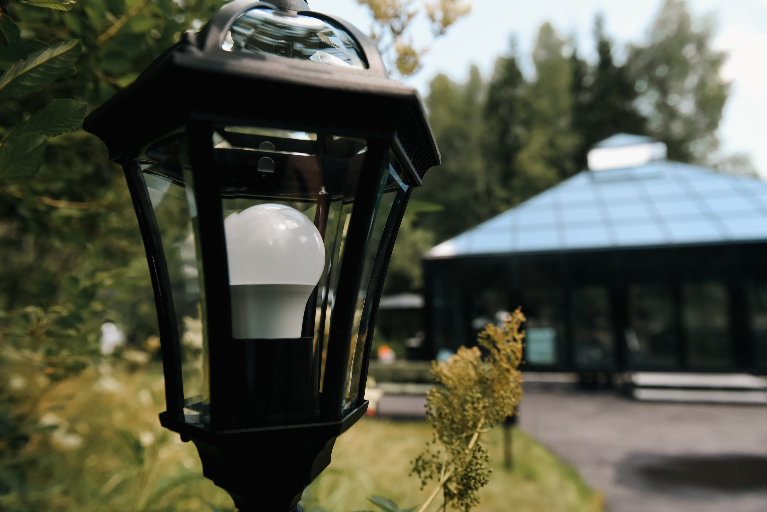 Green house. Фотограф, визажист. Москва