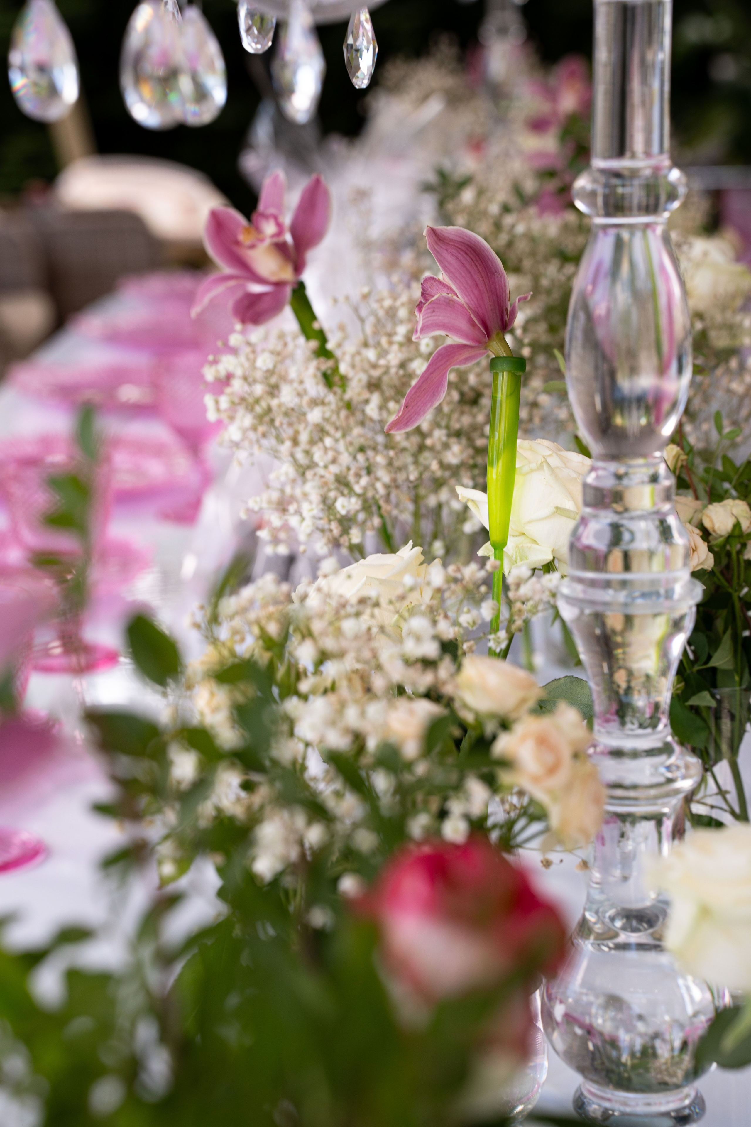 День Рождения за городом. Фотограф в городе Владимир