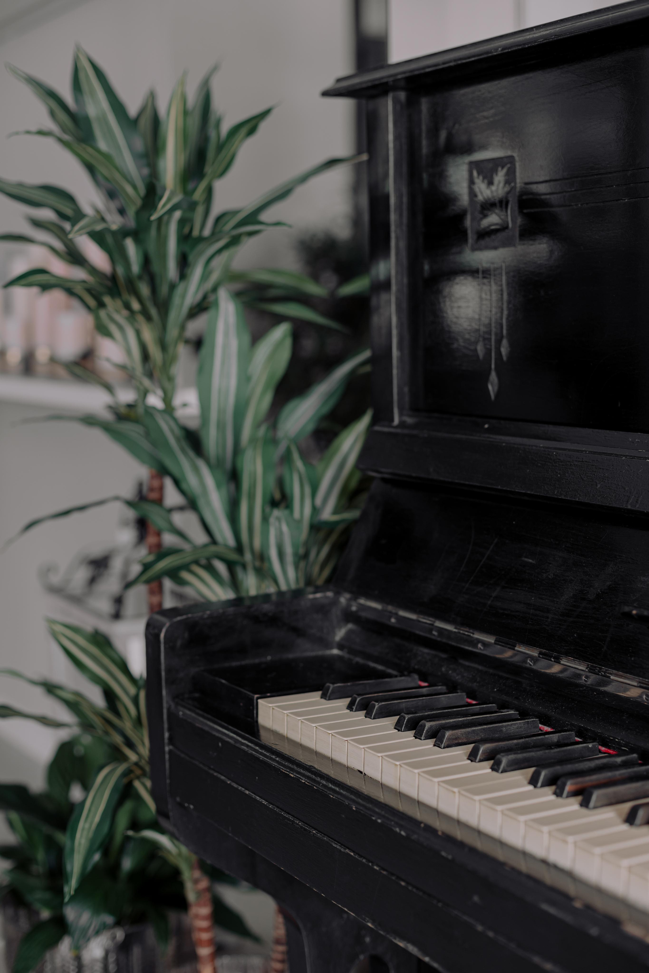 Салон цветов «URBAN FLO». Дизайн интерьера от Дмитрия Баландина