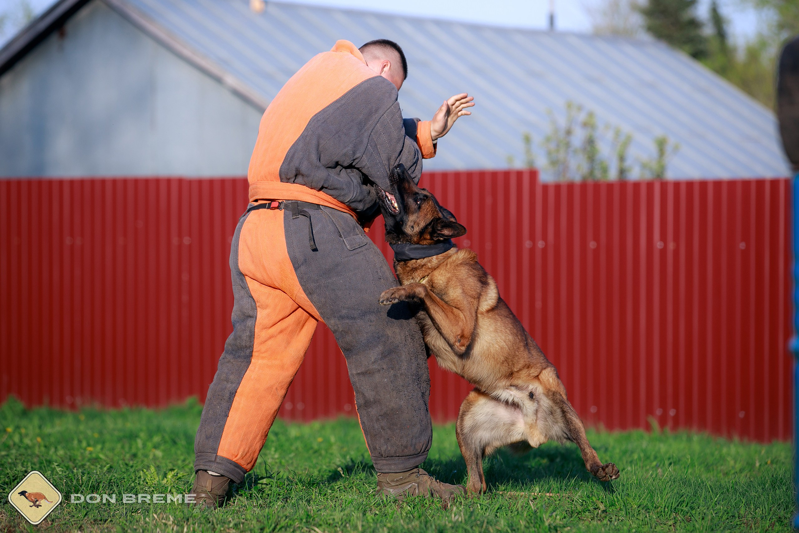 Семинар для фигурантов, день 4. Фотограф-анималист Mary Mart — Москва, Питер