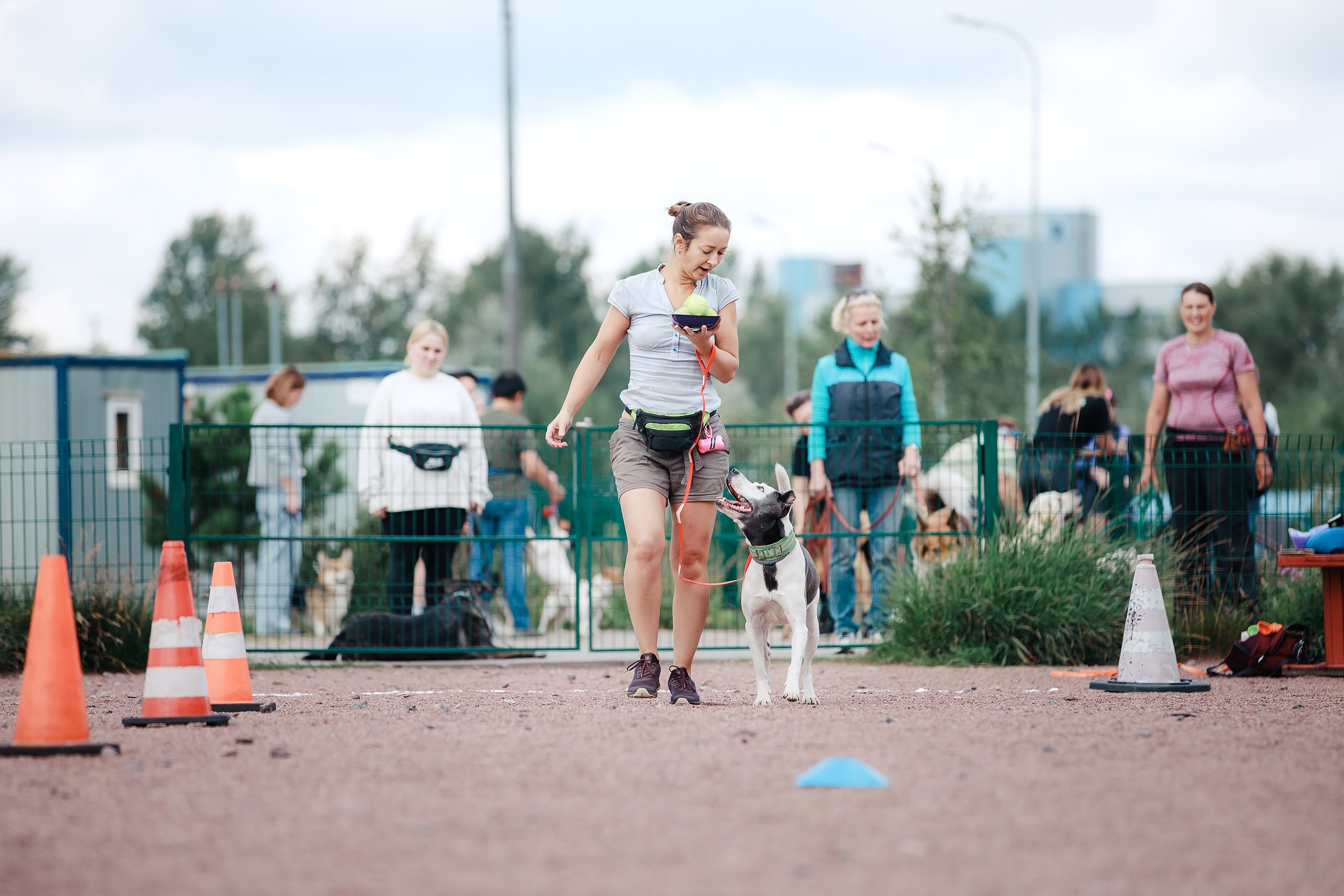 Питч&Гоу + веселые старты. Фотограф-анималист Mary Mart — Москва, Питер