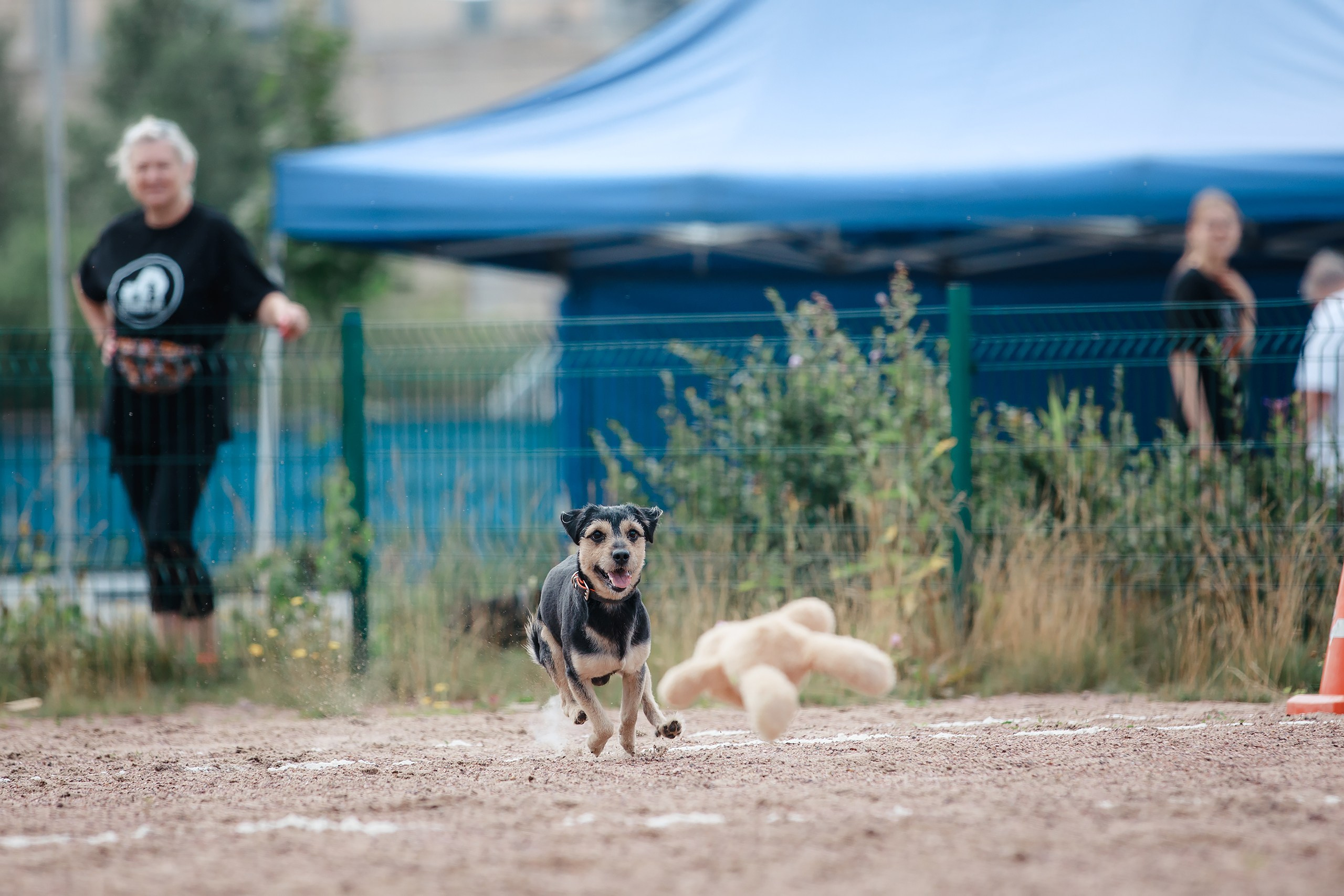 Питч&Гоу + веселые старты. Фотограф-анималист Mary Mart — Москва, Питер