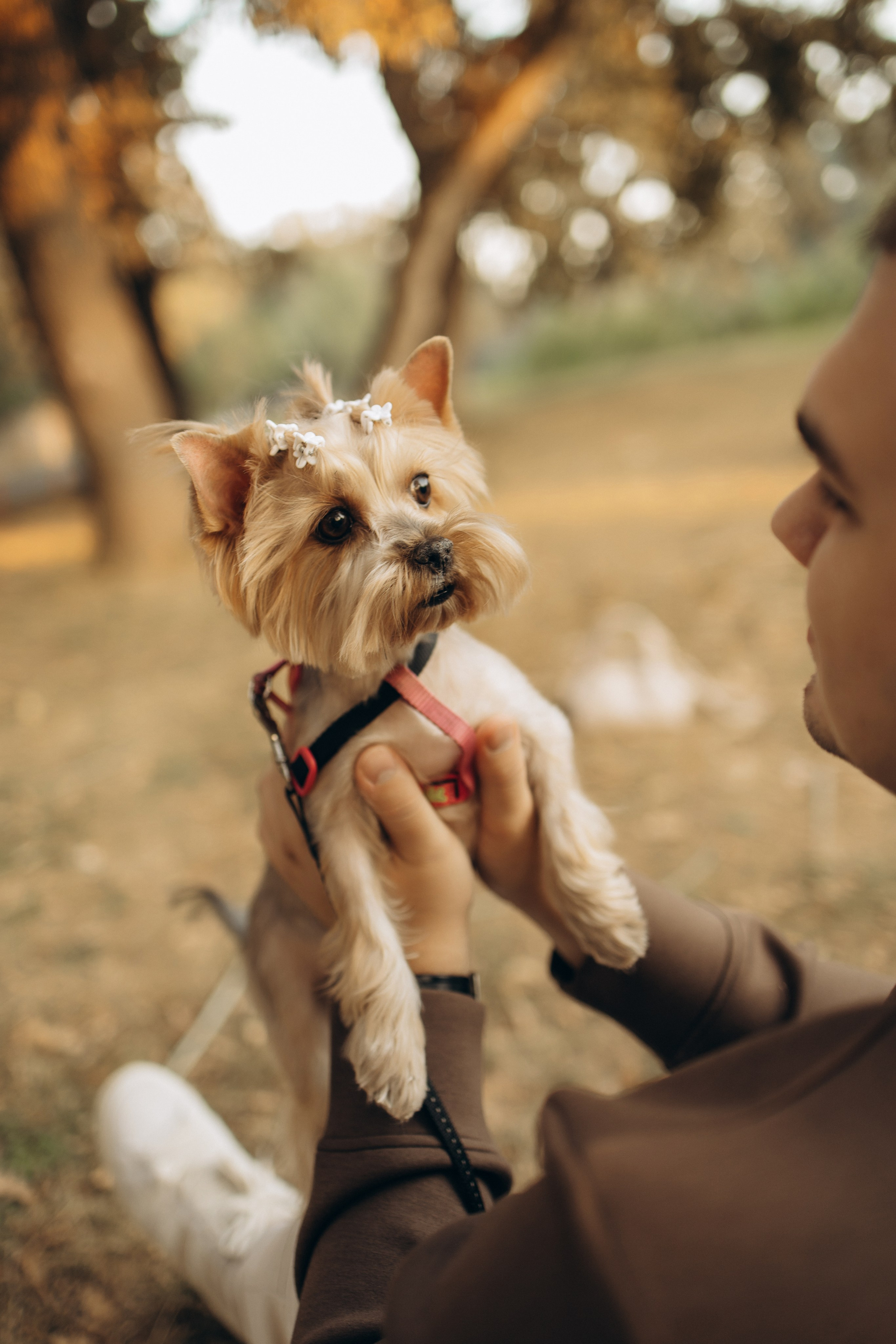 Влад и Ксюша. Самый теплый фотограф в Краснодаре Рябоконь Ксения
