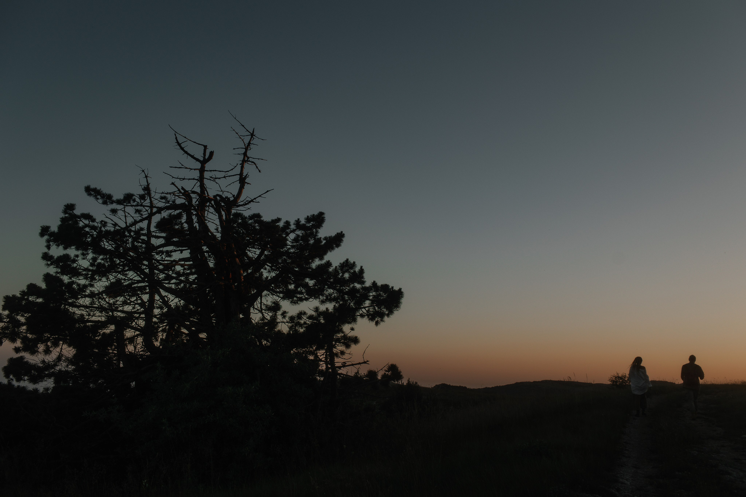 Филип и Наталья. Свадебный и портретный фотограф