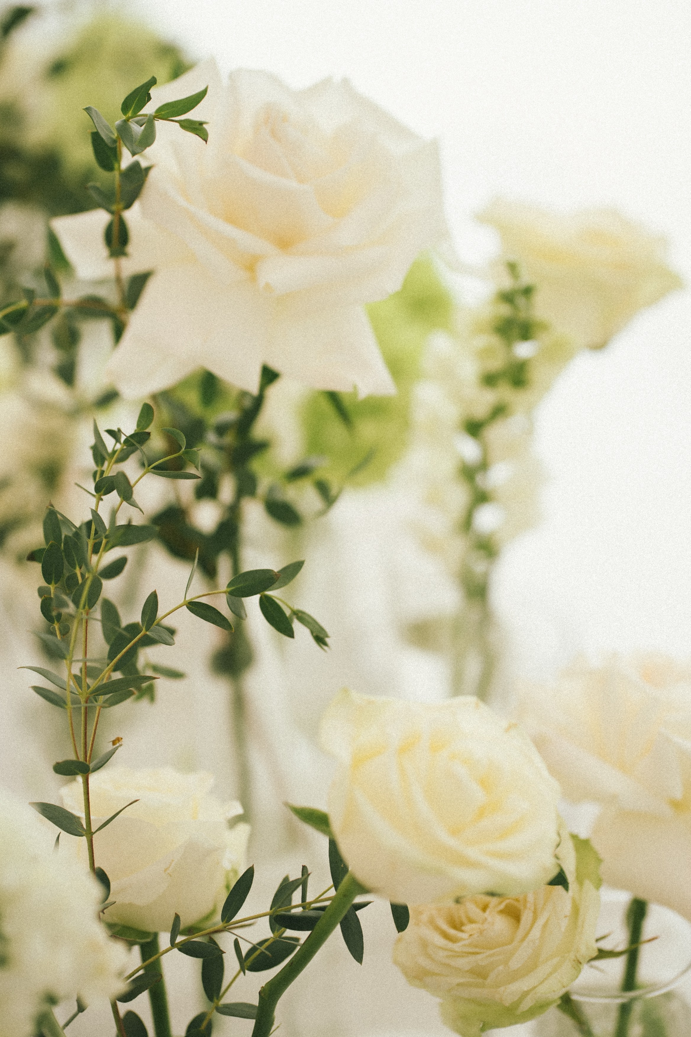 Alexandr & Valeria. Свадебный и семейный фотограф Москва