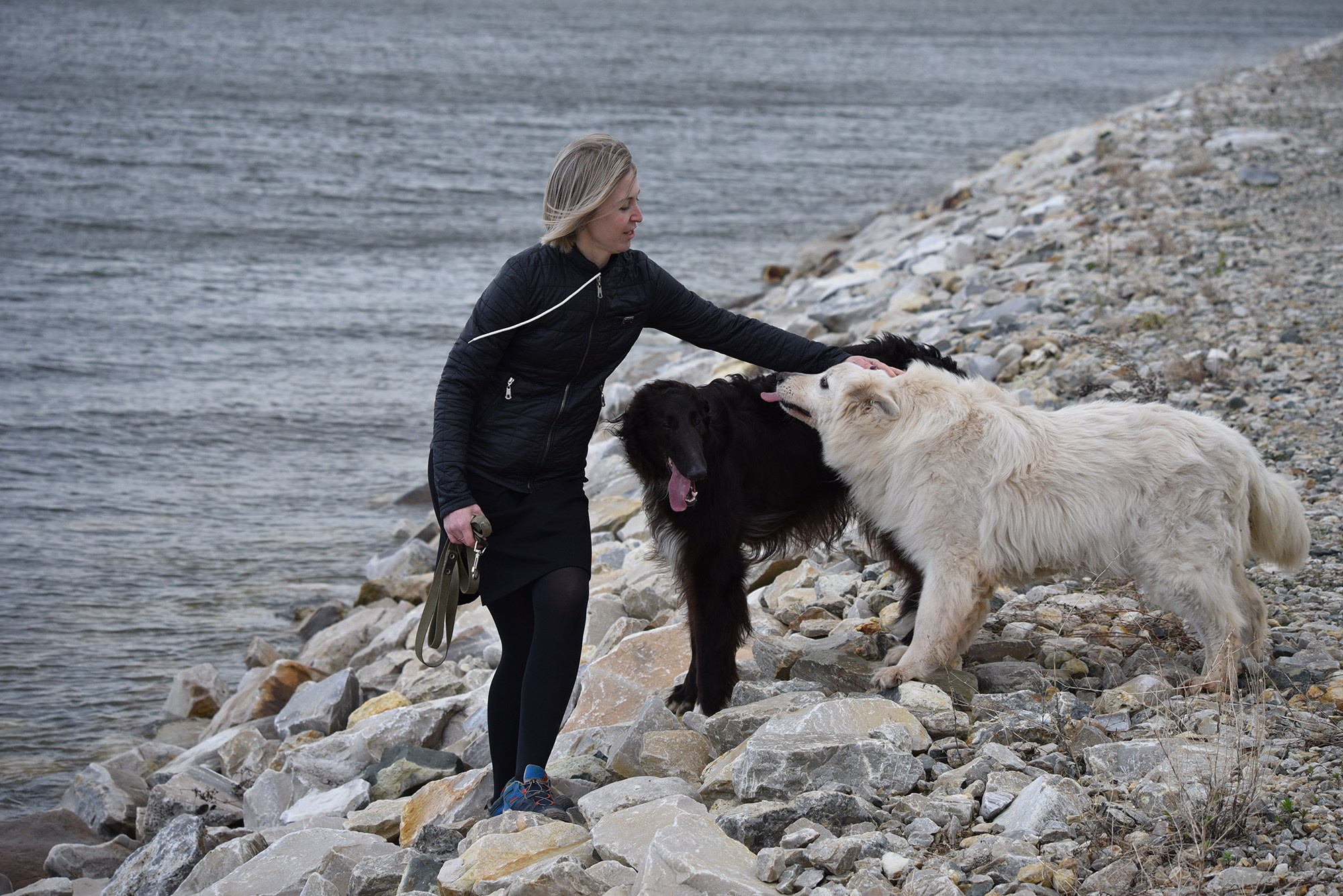 Фотосессия с собаками на берегу Волги.Женщина с думя собаками