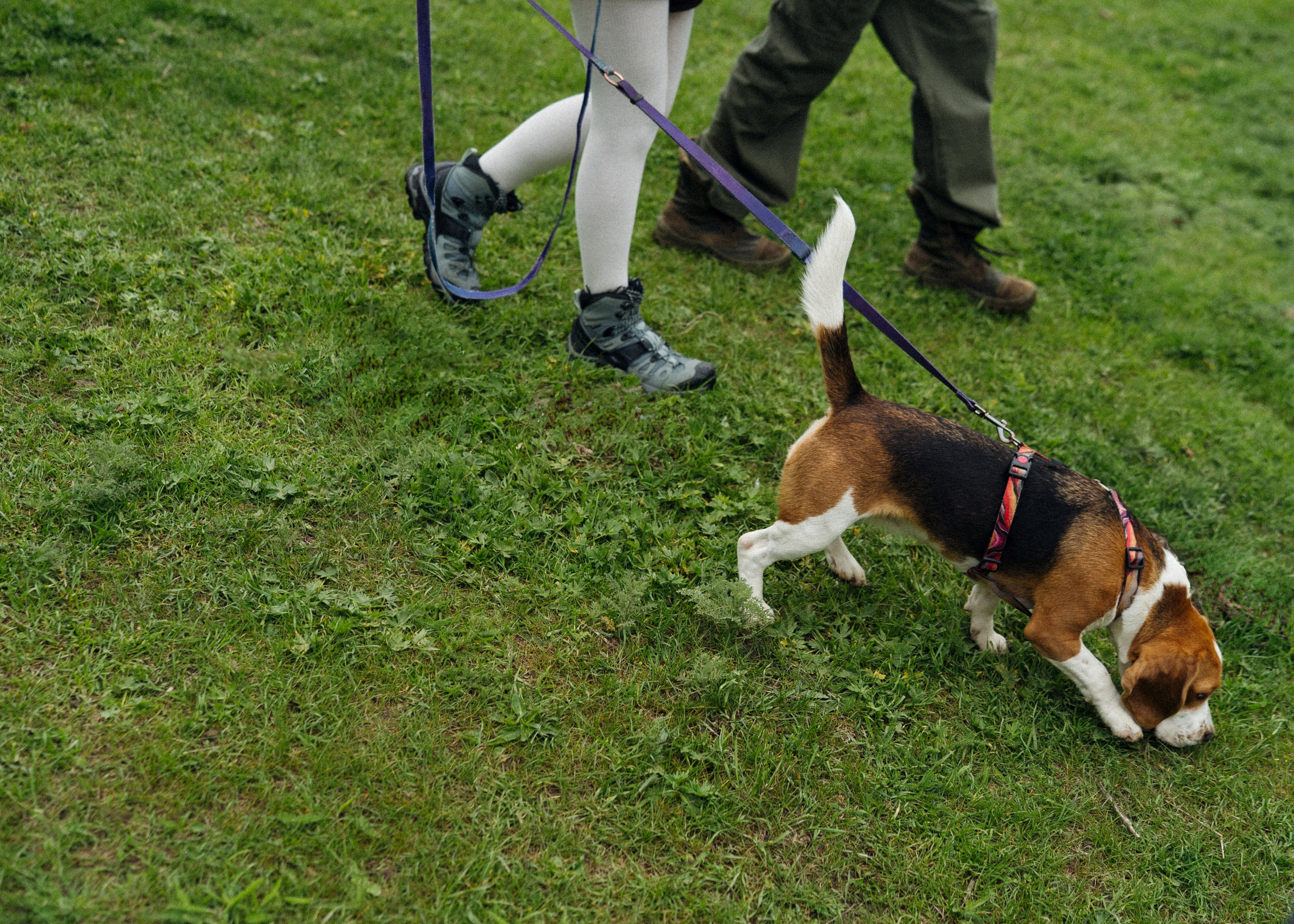 Чегем. Свадебный фотограф в Краснодаре и Сочи Винидиктова Екатерина