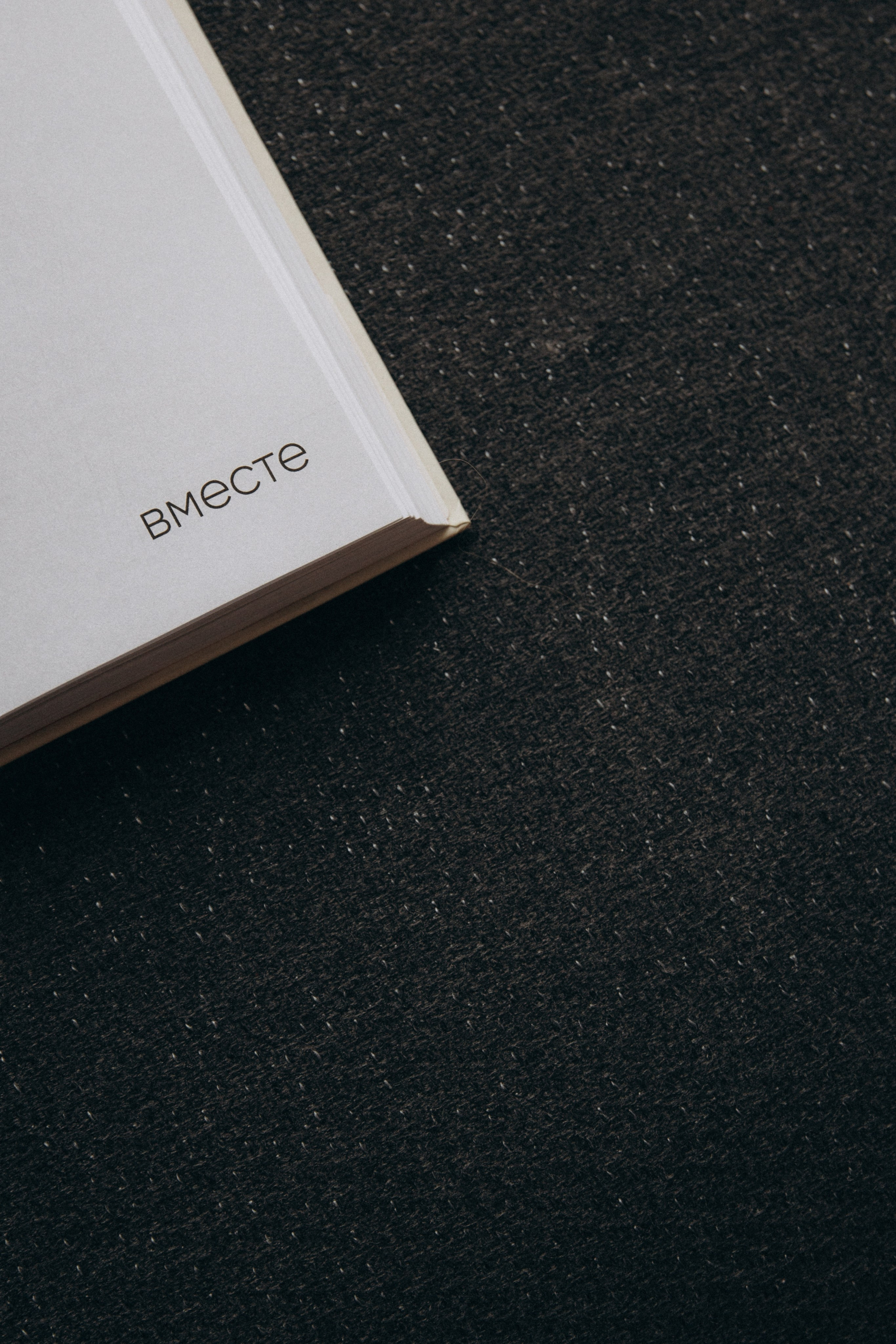 Together. Свадебный фотограф в Астане Асанали Балтахан