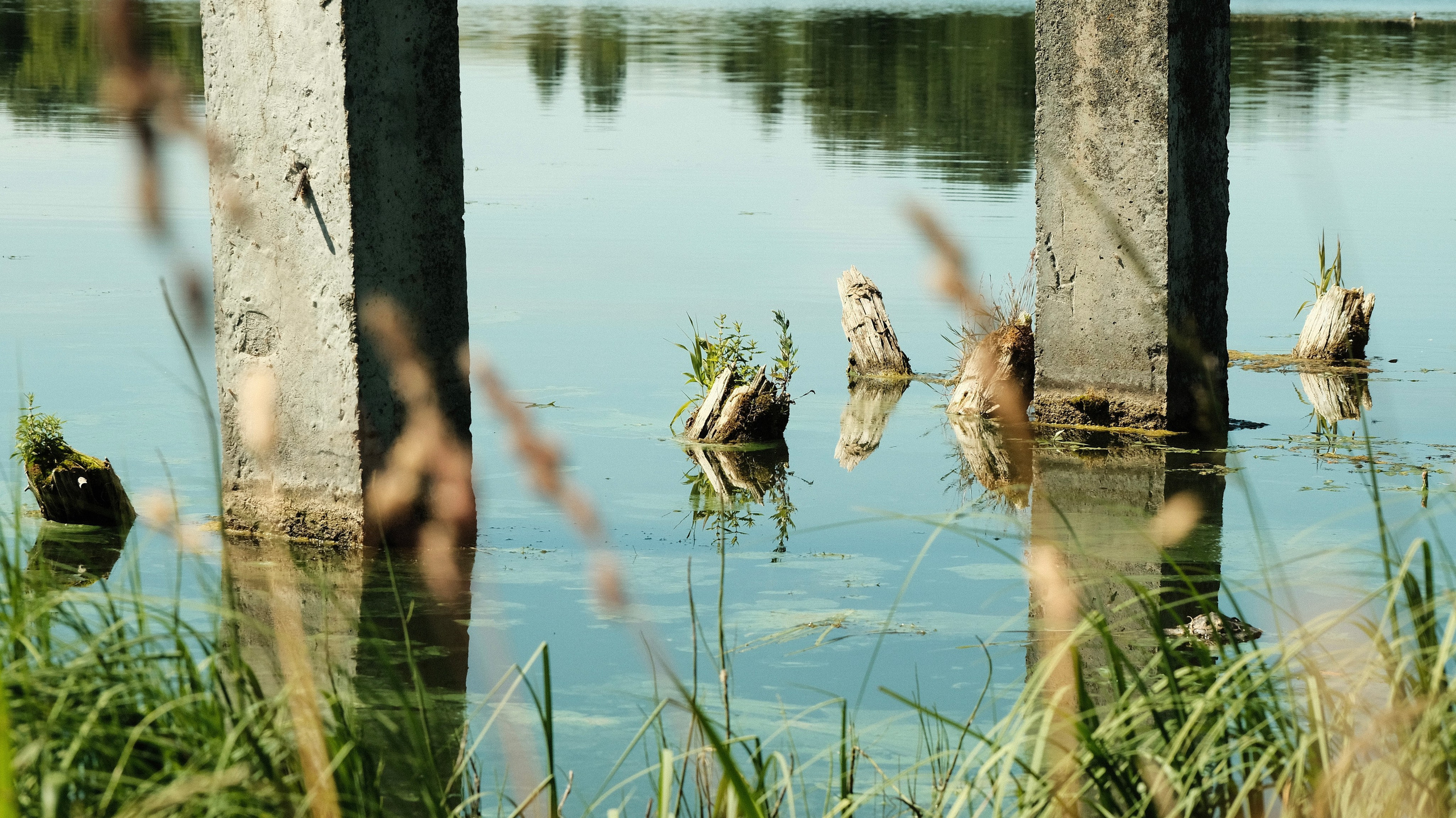 Пейзажи. Фотограф-любитель из Кирова Андрей Погребняк