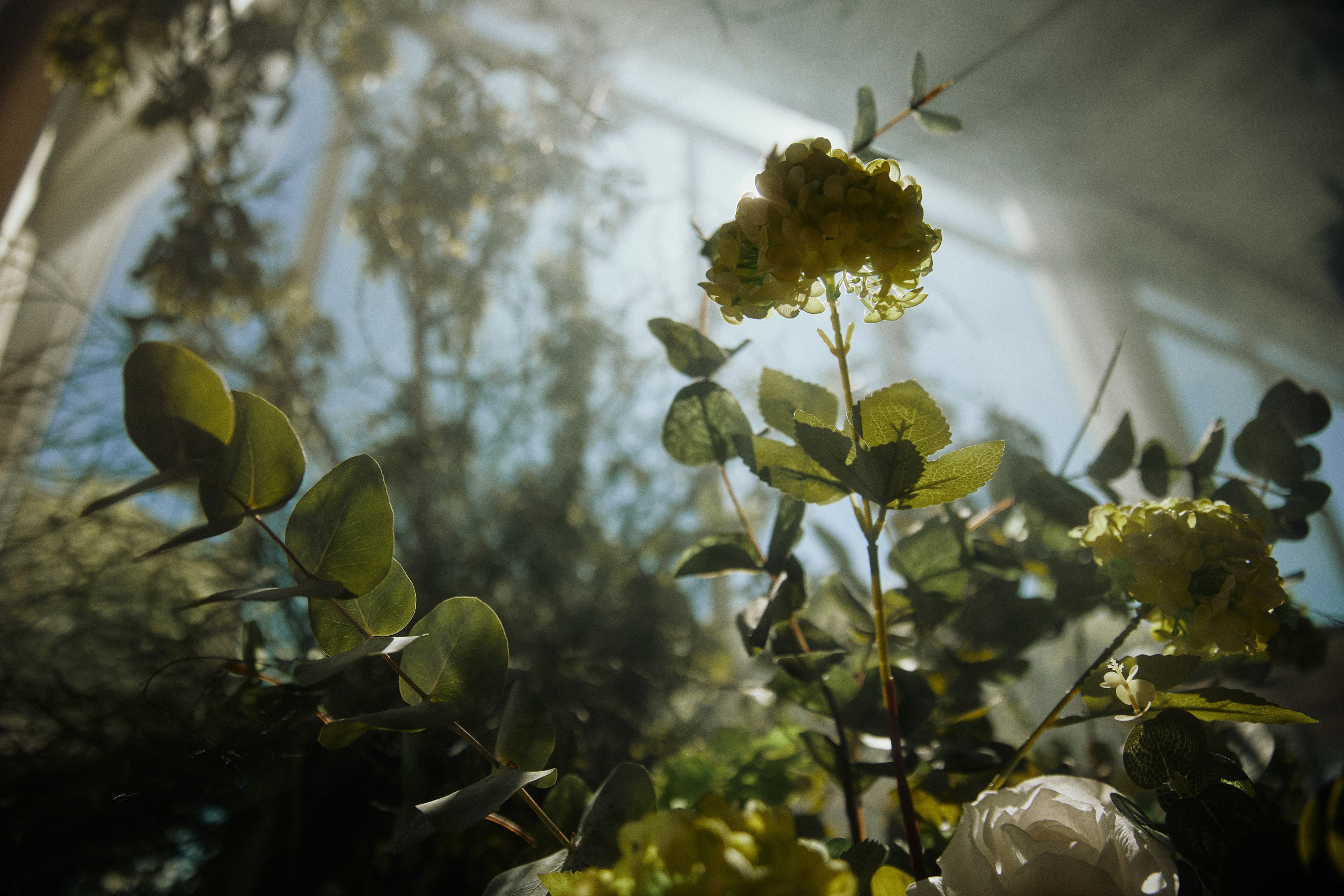 THE GRAND BUDAPEST. Дмитрий Мазуркевич: Профессиональный Репортажный Фотограф