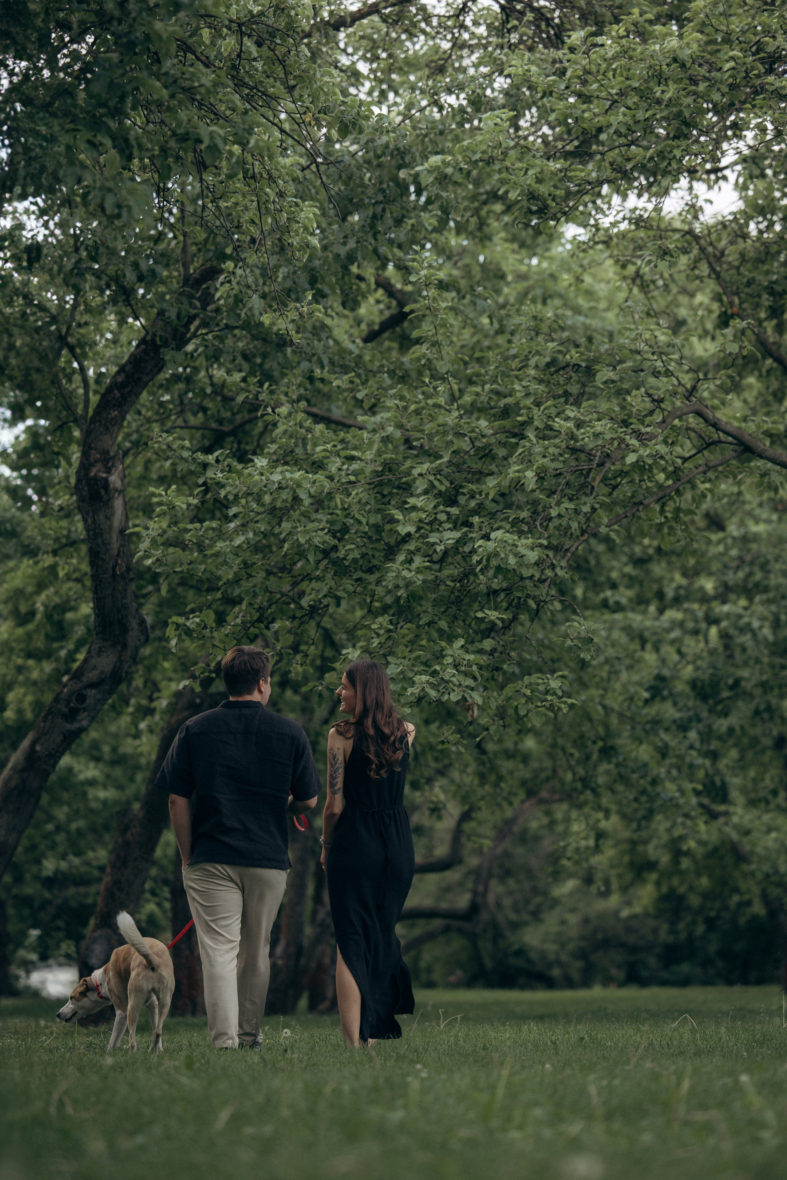Парк Коломенское. Михаил, Анастасия и Ума. Фотограф анималист в Казани Алина Сулейманова. Фотограф животных