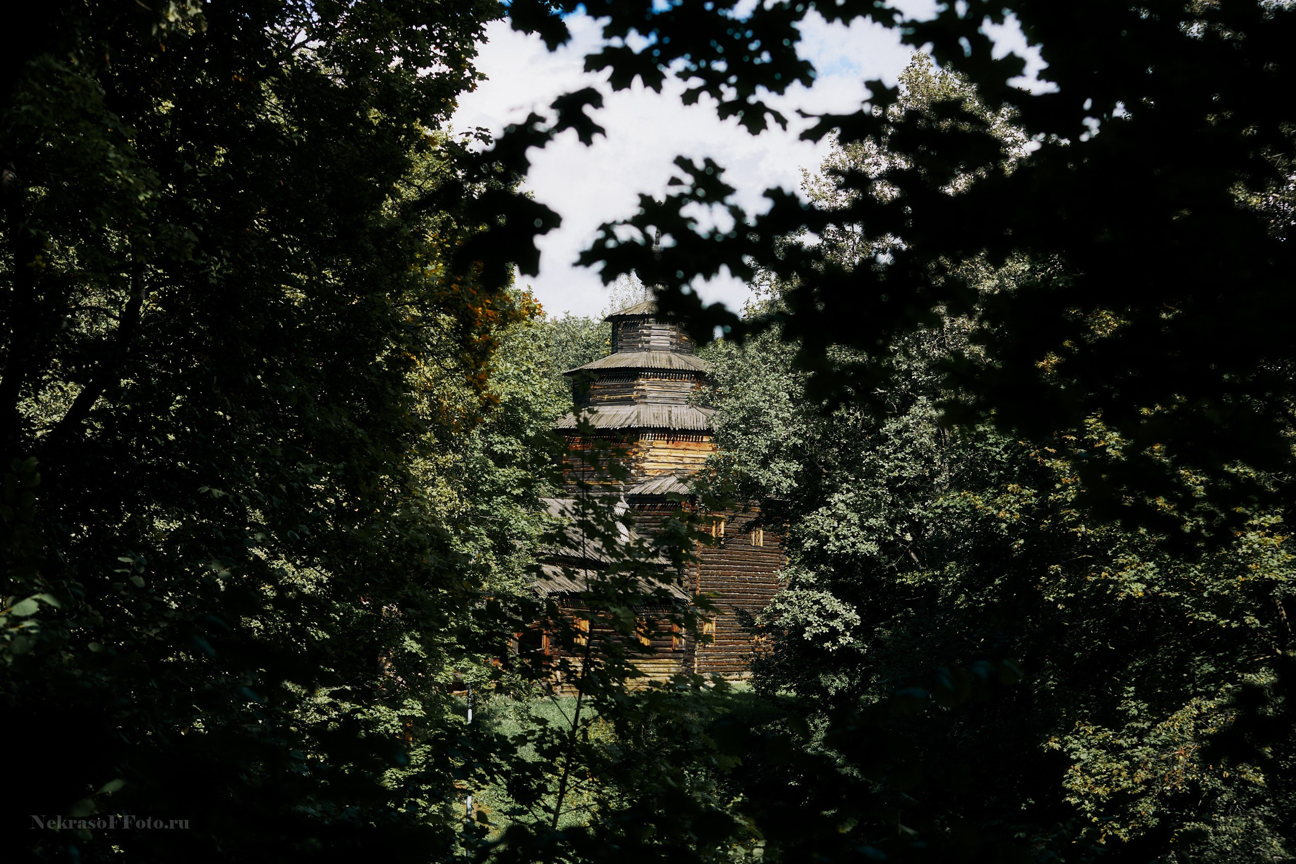 Свадьба Екатерины и Геннадия. Спортивный фотограф Некрасов Денис