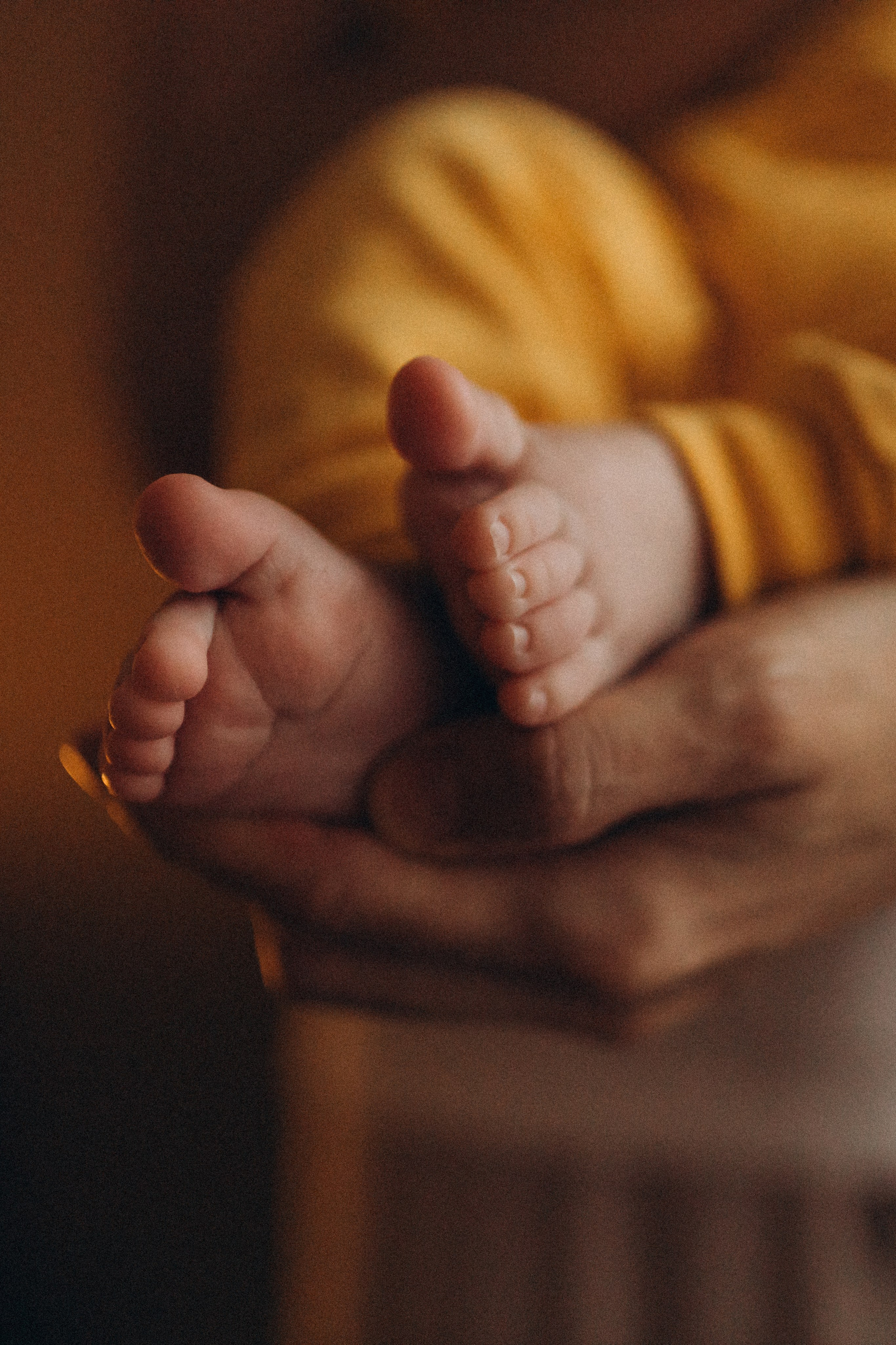 13. Семейный фотограф в Москве Жукова Анна