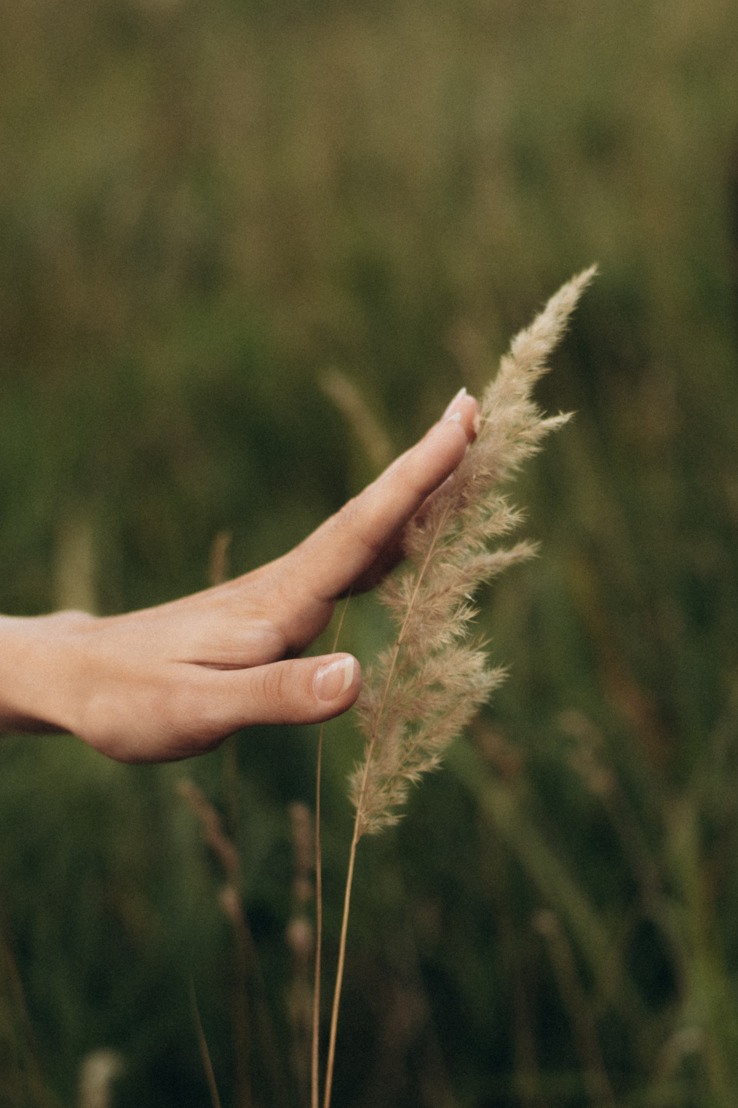 Семейная фотосессия на закате, Коломенский парк