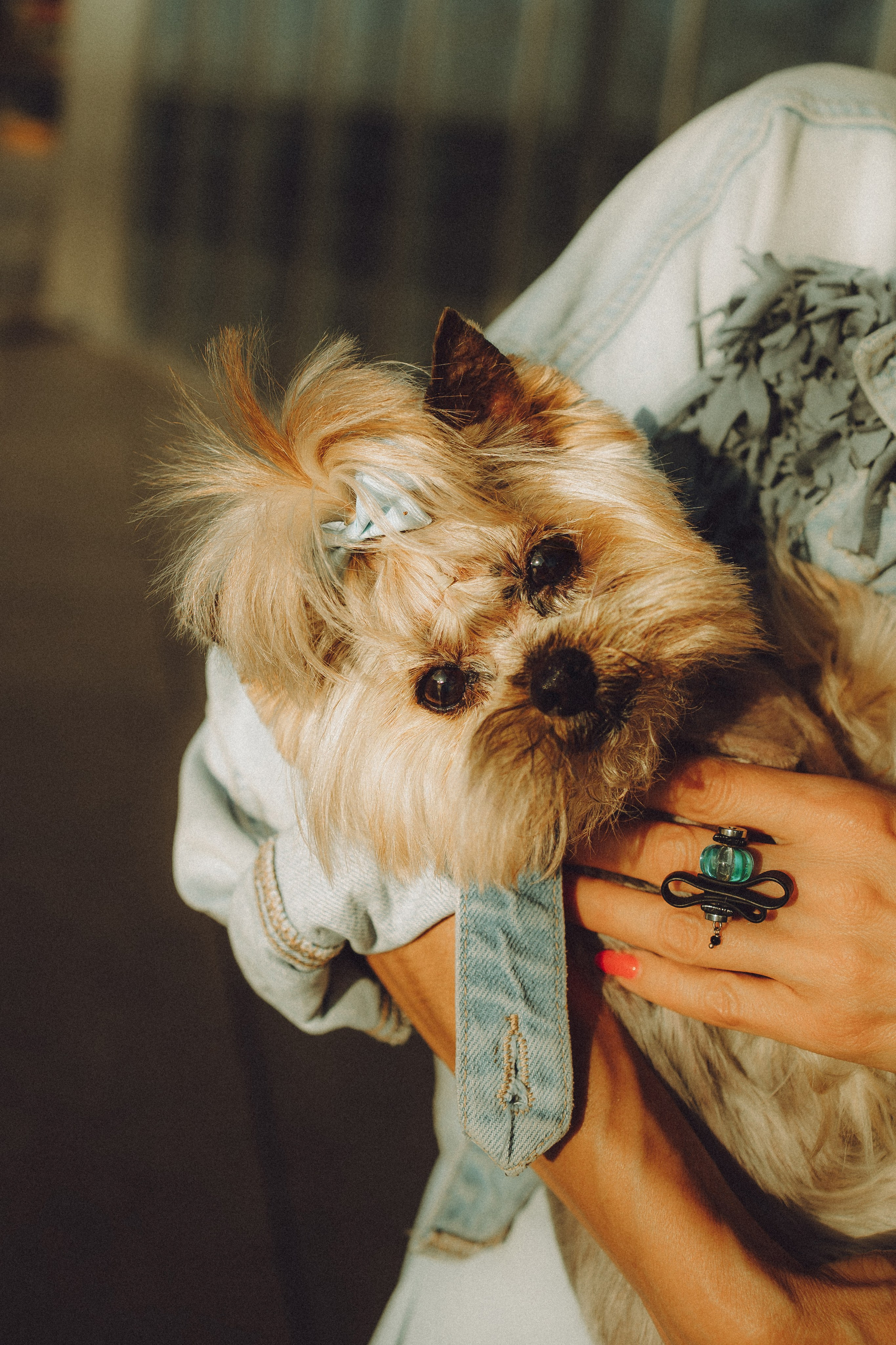 Дженни, Оливия и их семья