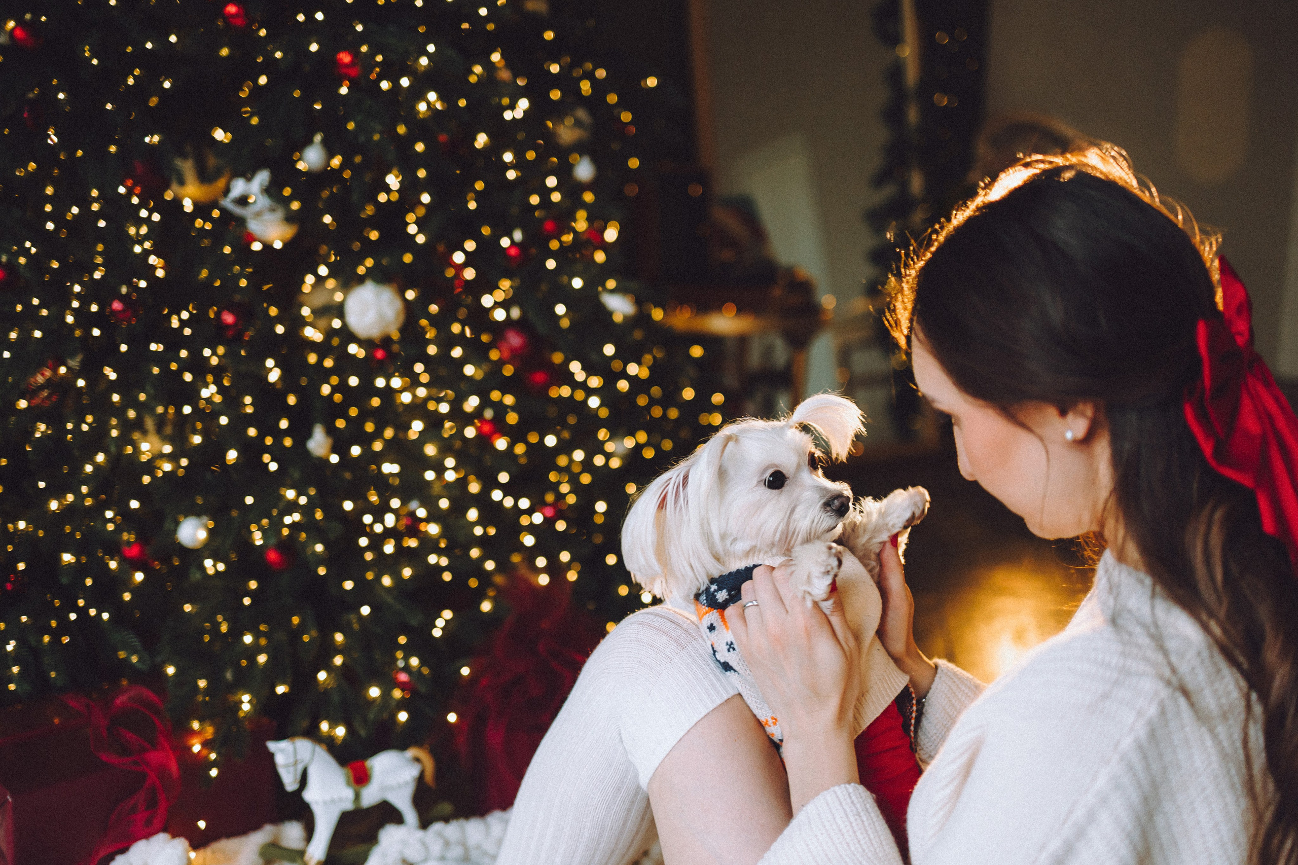 Констанция и Молли