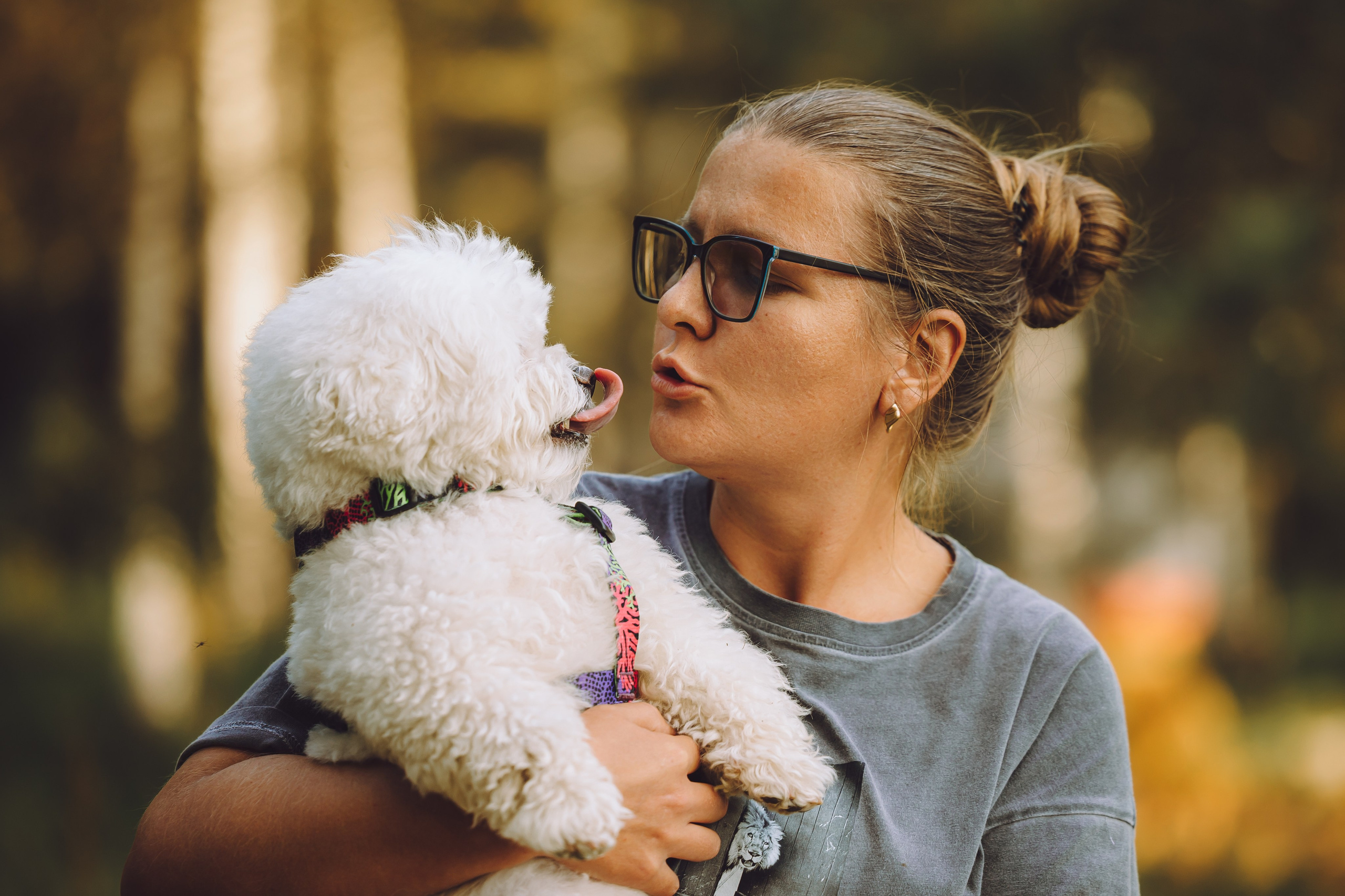 Выездной дог-тренинг от школы «Шерсть имею», Тованово