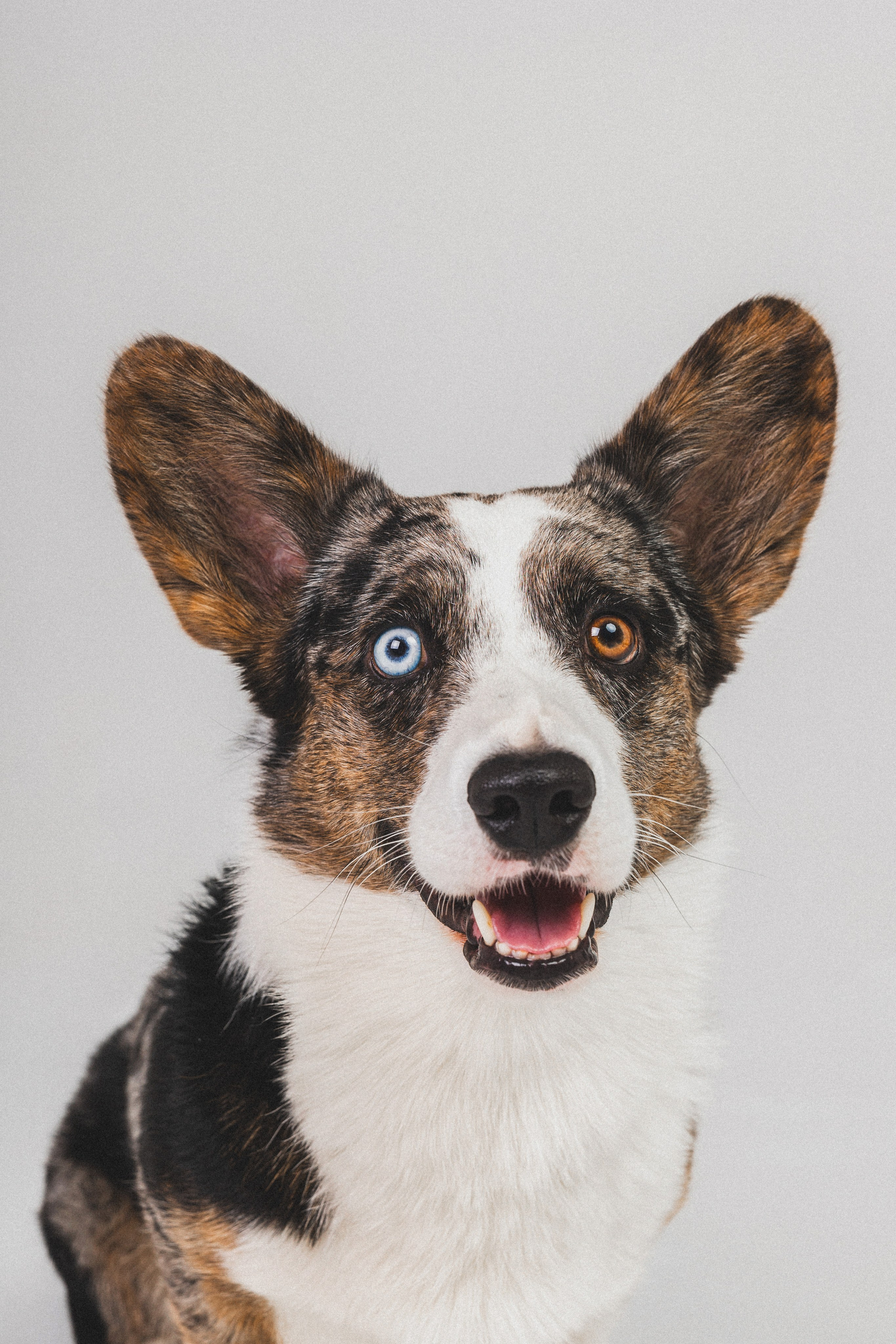 Анатолий и Рагнар