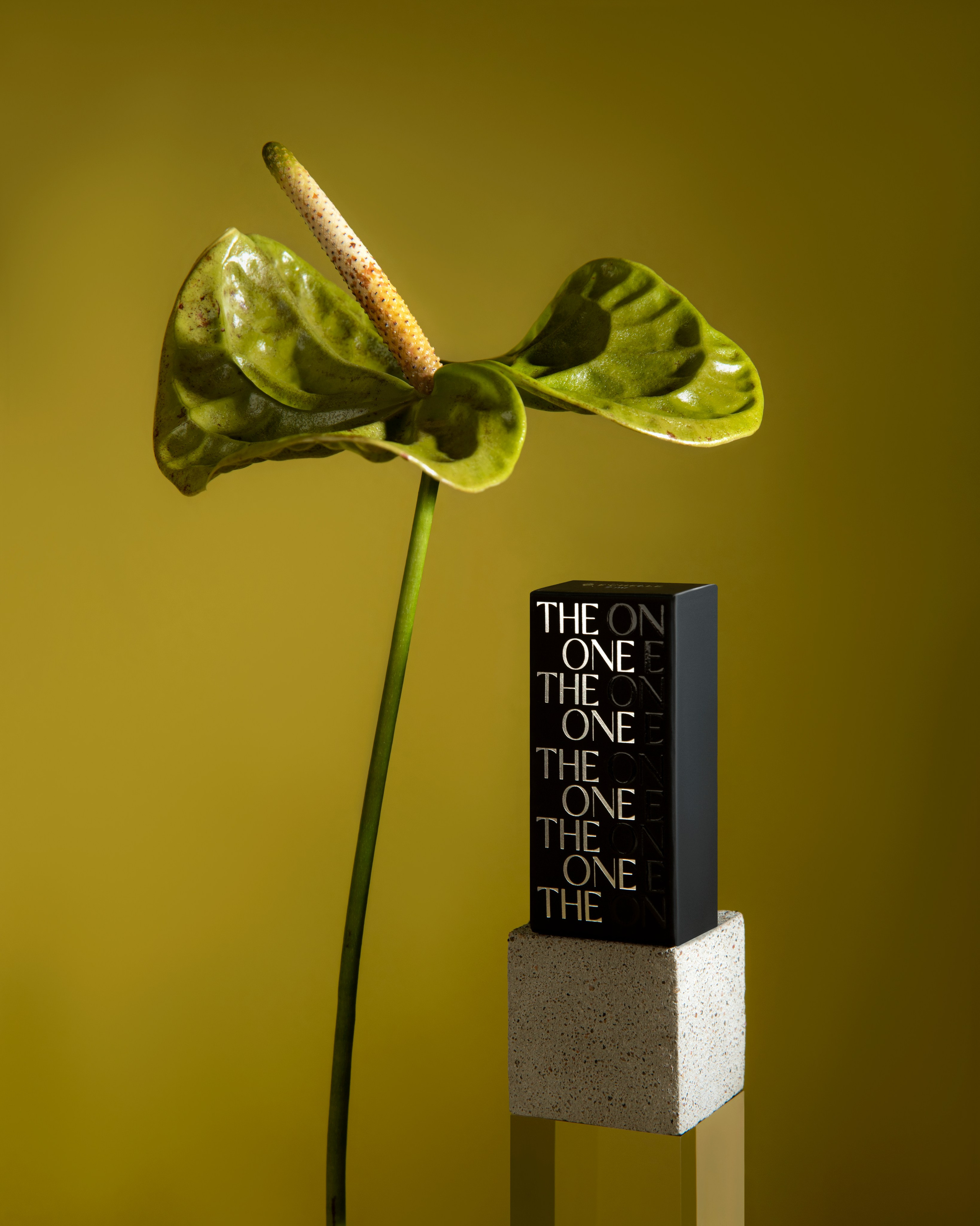 Бьюти (косметика, уход, аксессуары). Предметная фотография