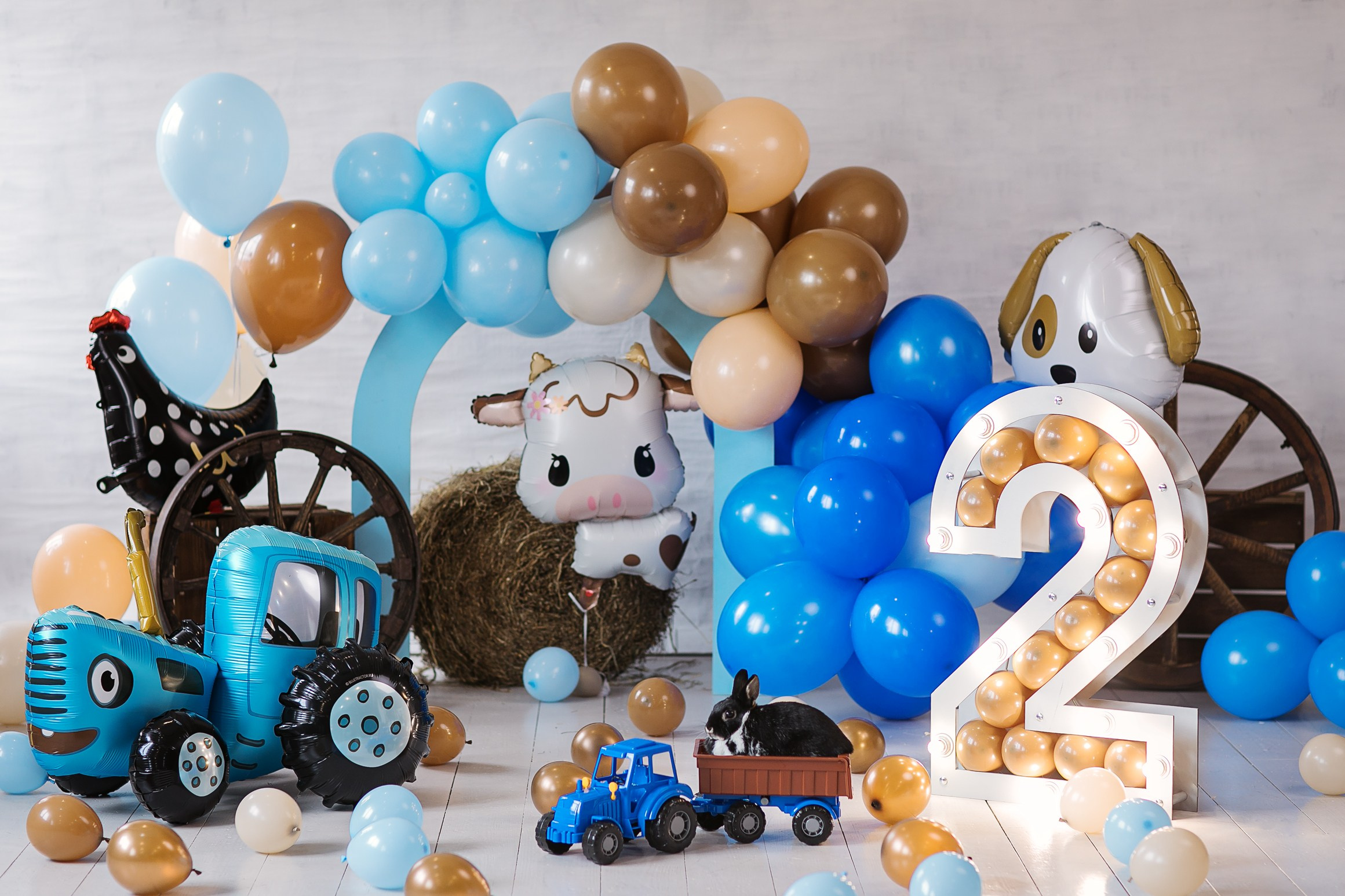 Идеи фотозона для фотосессии на 1 год, на 2 года, на 3 года. Идеи фотозон для фотосессии ребенка в студии. Леонардо Бамбино. Фотосессии на День Рождения. Фотосессия на 1 годик. Фотосессия беременности Москва