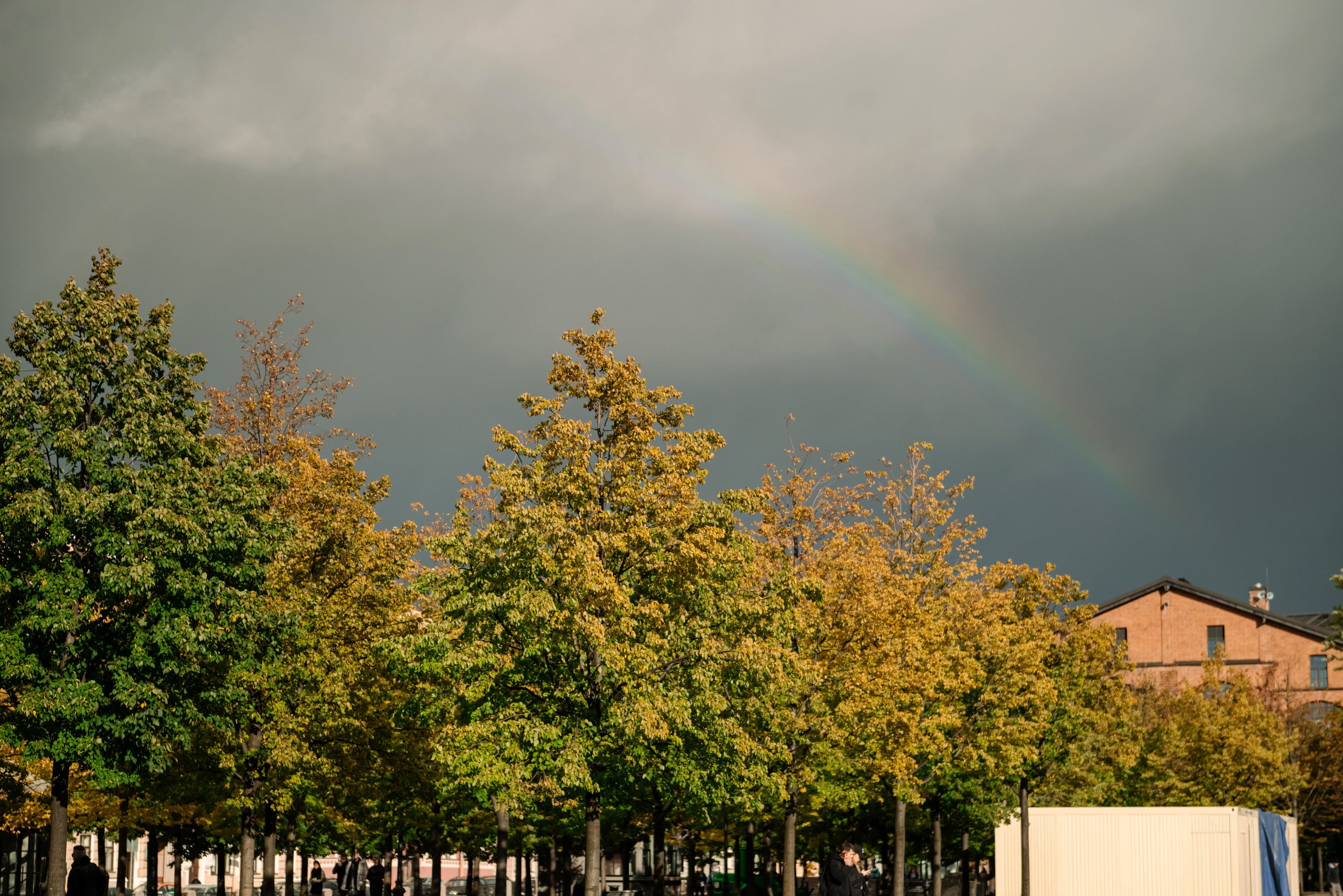 Осенняя фотосессия в Питере Новая Голландия. Свадебный и сеейный фотограф в Санкт-Петербурге Елена Худякова