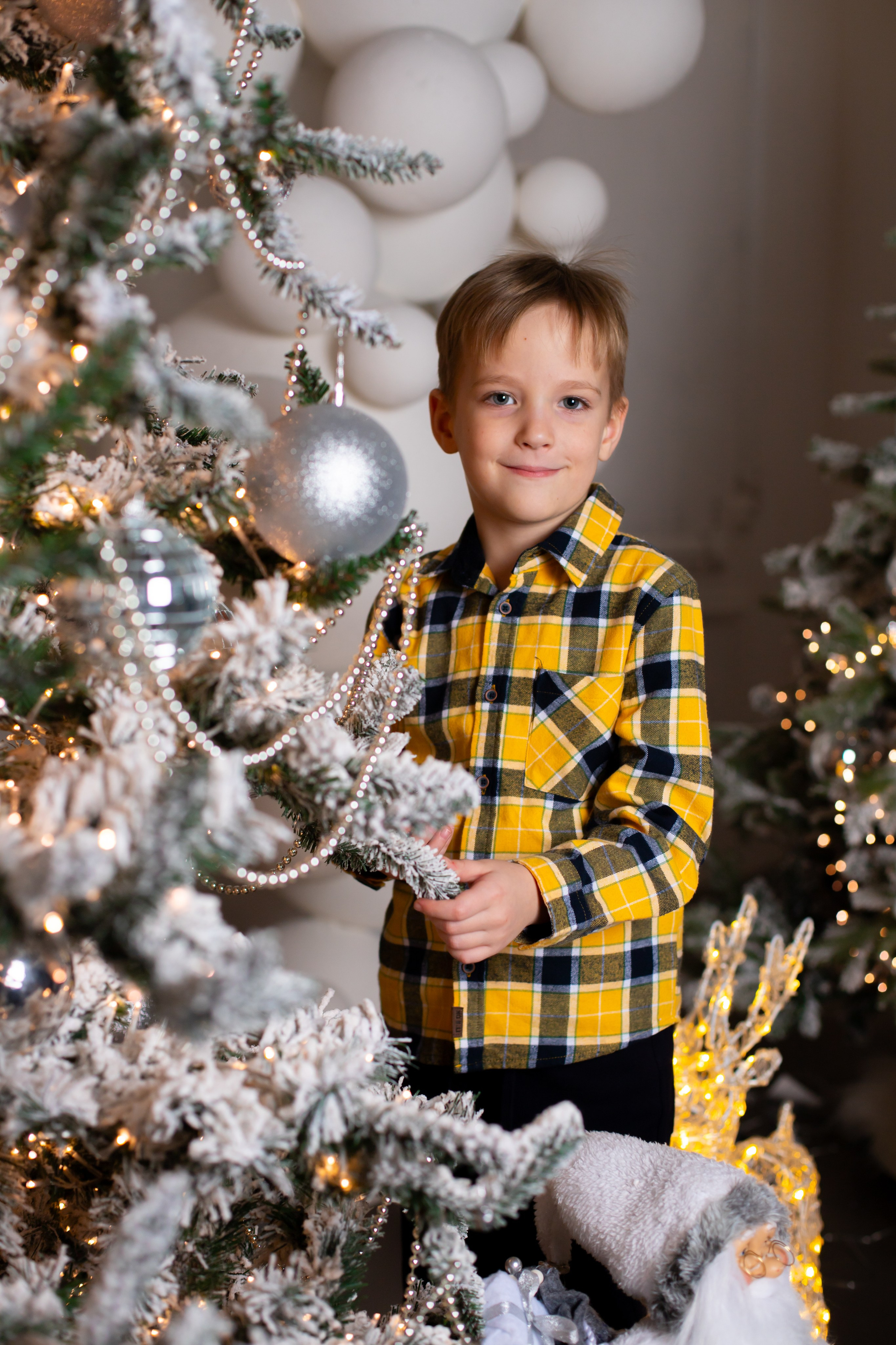 Новогодняя с семьёй Марины. Фотосессия под любой запрос в Красноярске. т+79237847111