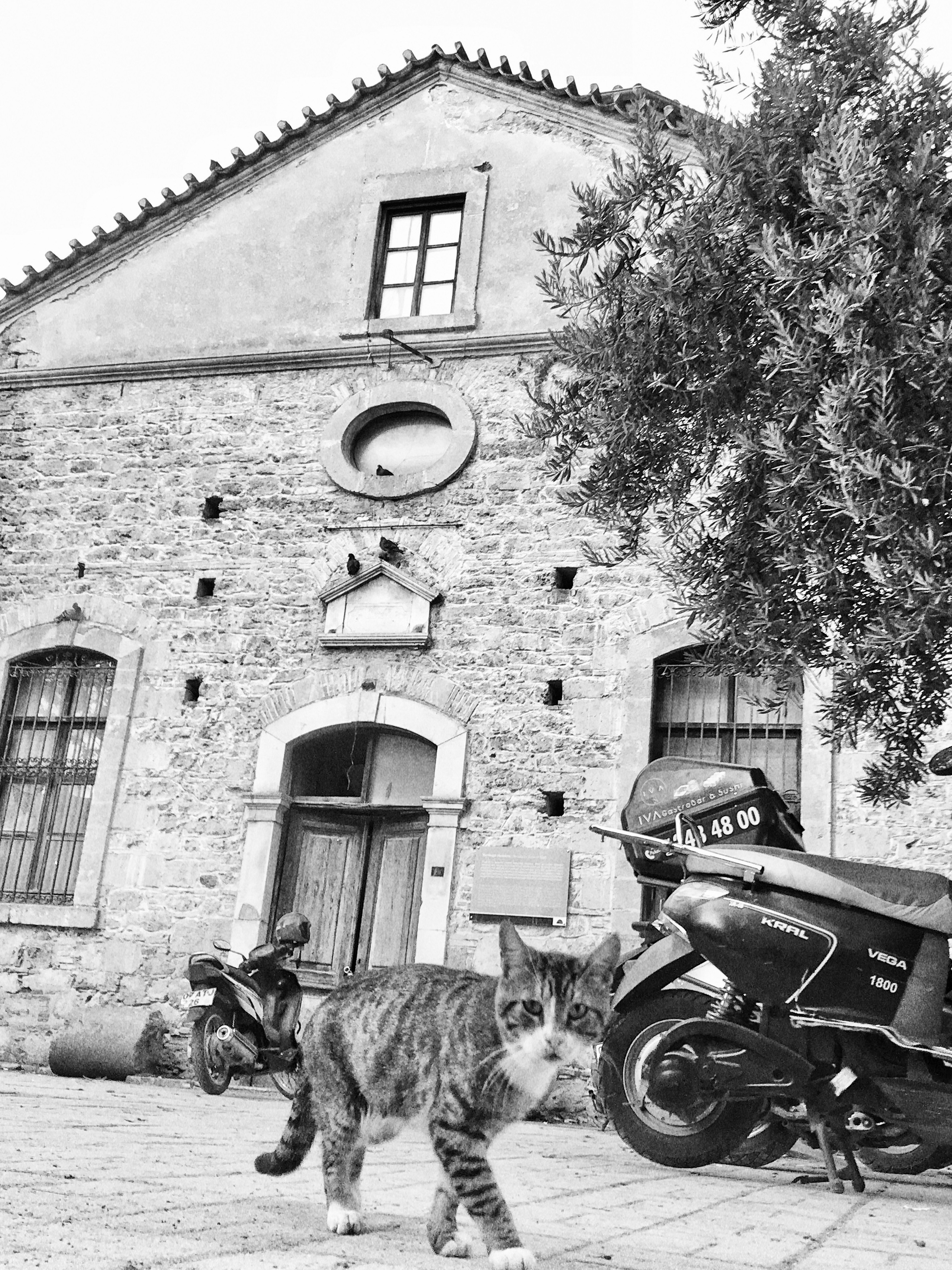 Вояж. Фотограф — Маслеников Константин