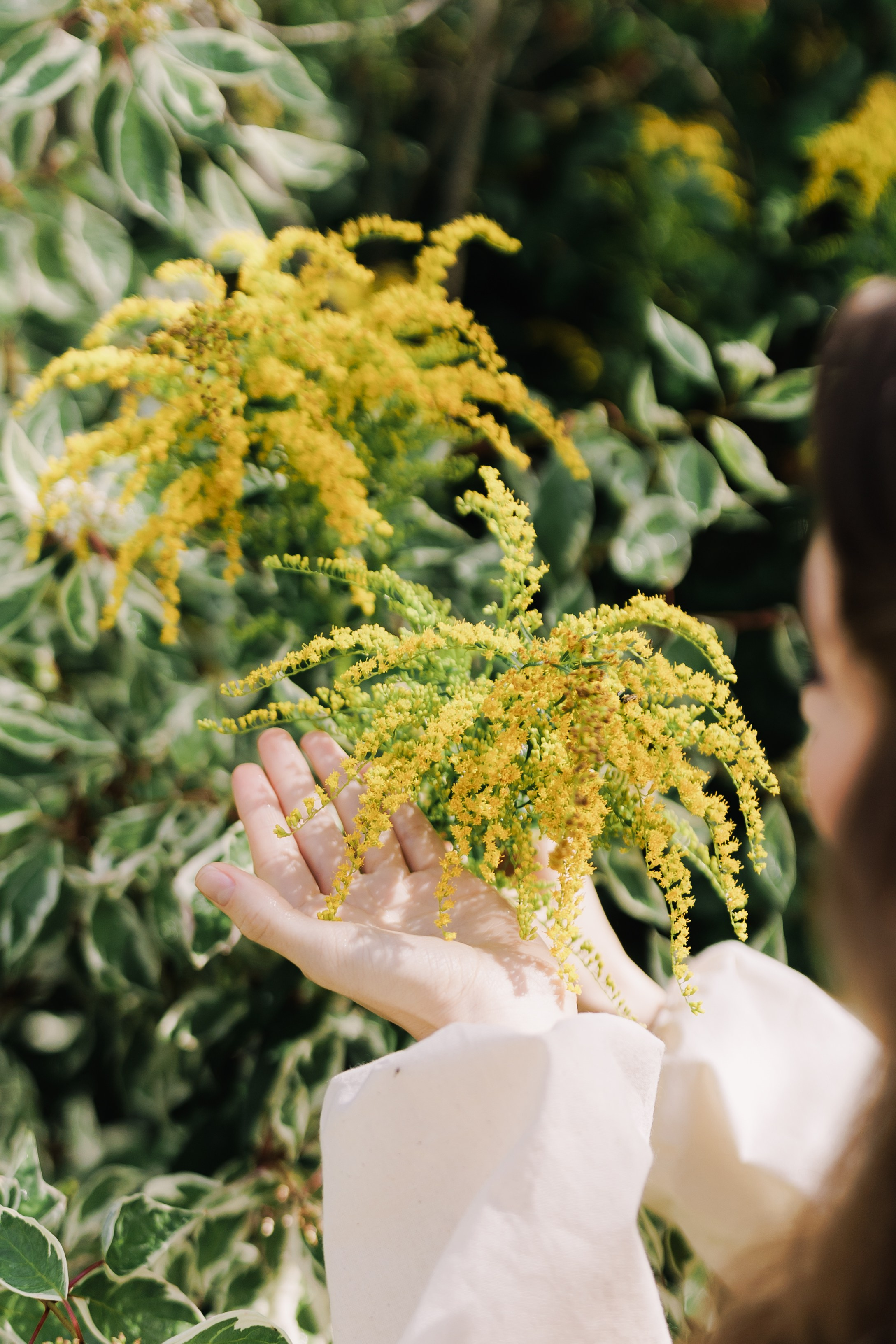 Artem & Viktoria. Wedding and family photographer in Moscow