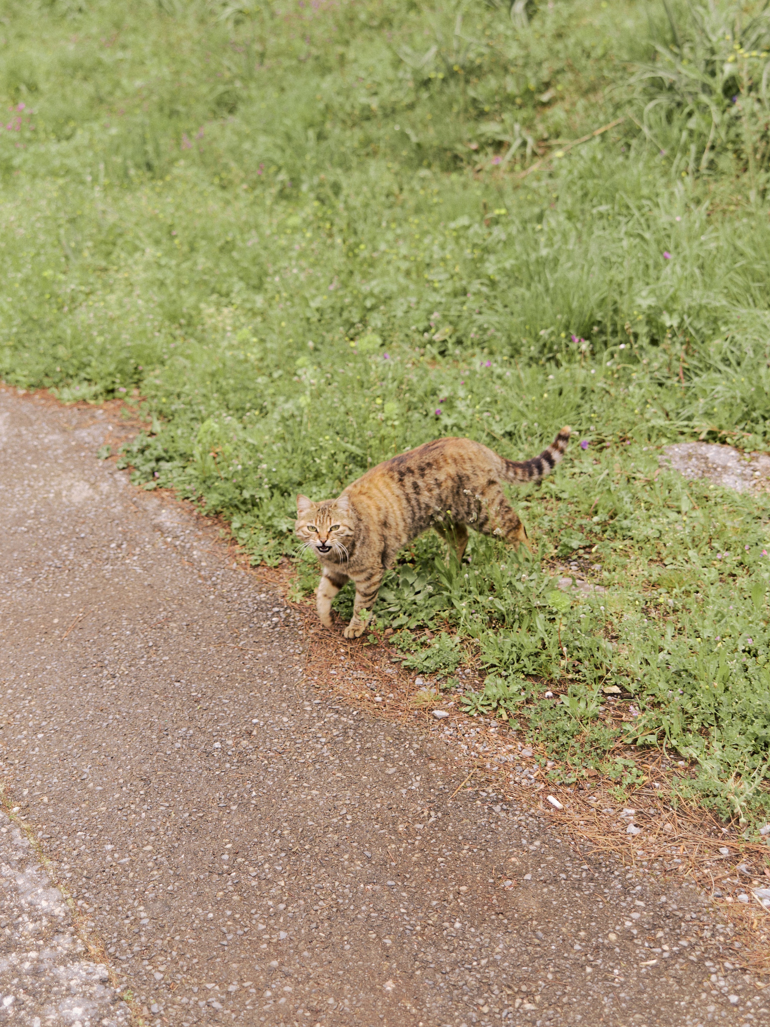 Другое 2. Jorgis Talè — photographer, kind person, teacher of arts and other mag