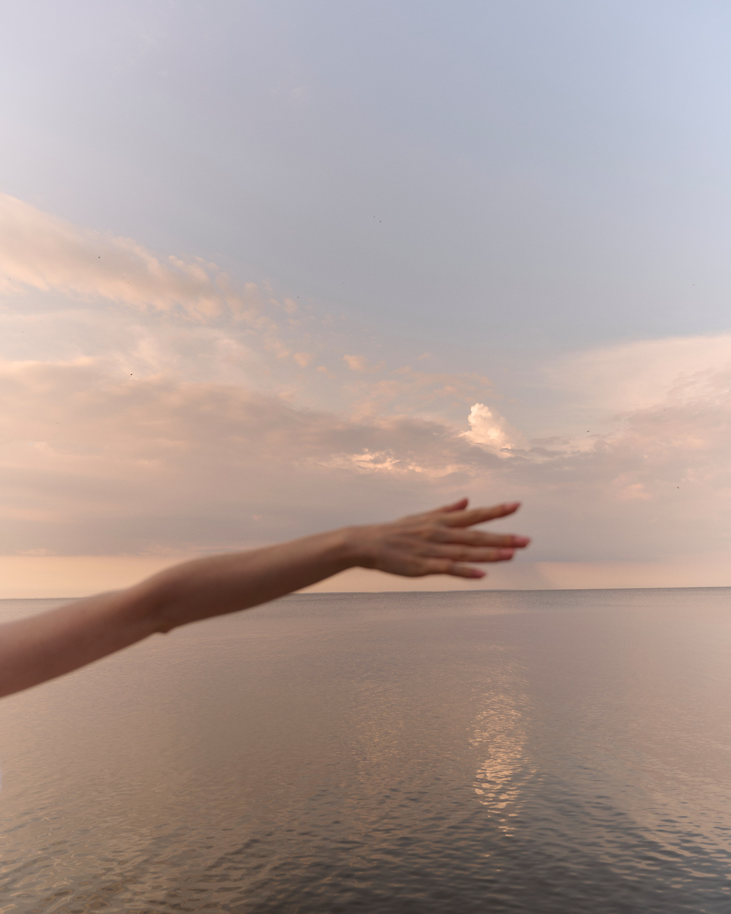 Камилла. Z H U R A V L E V