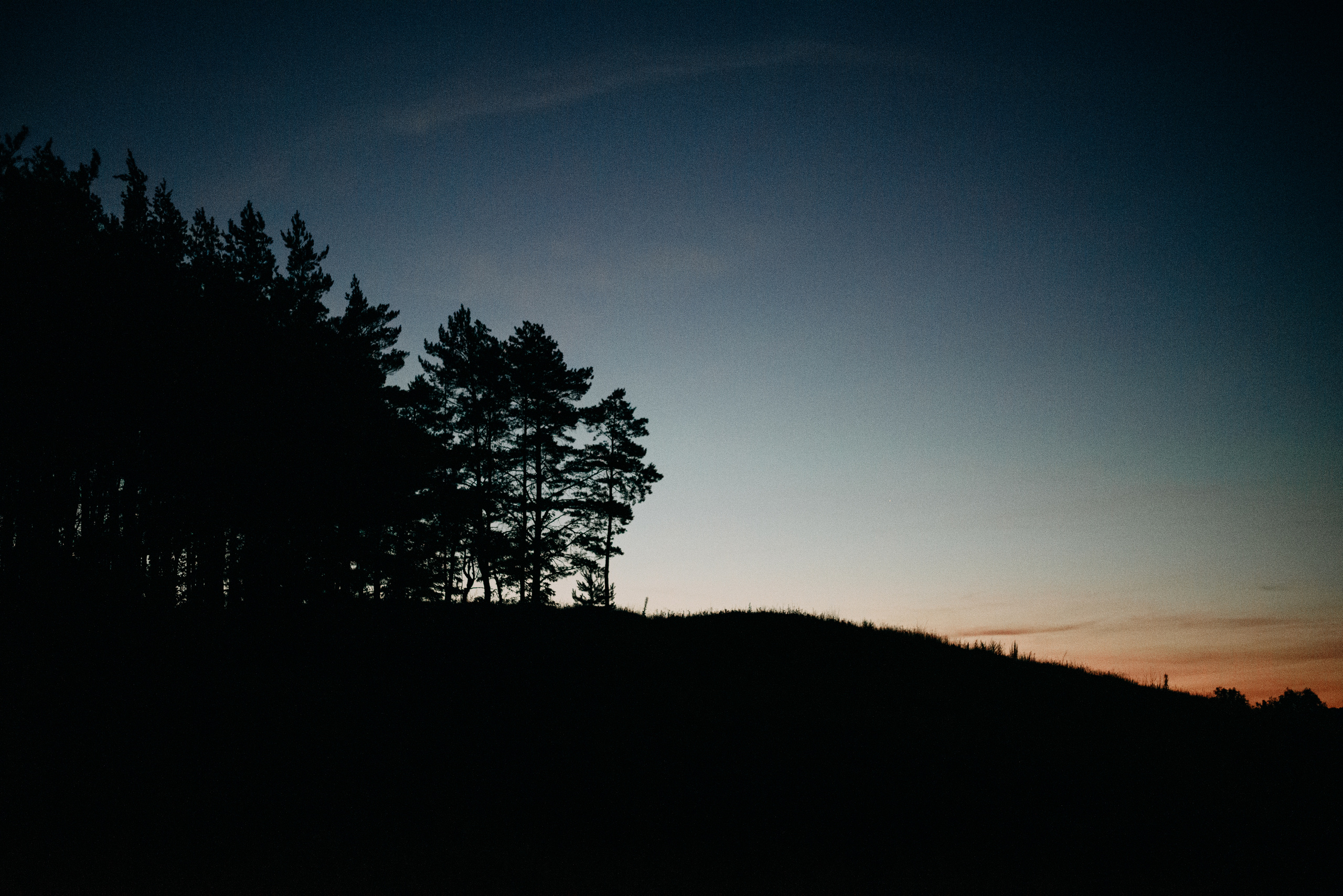 Слава и Таня. Свадебный фотограф Белгород